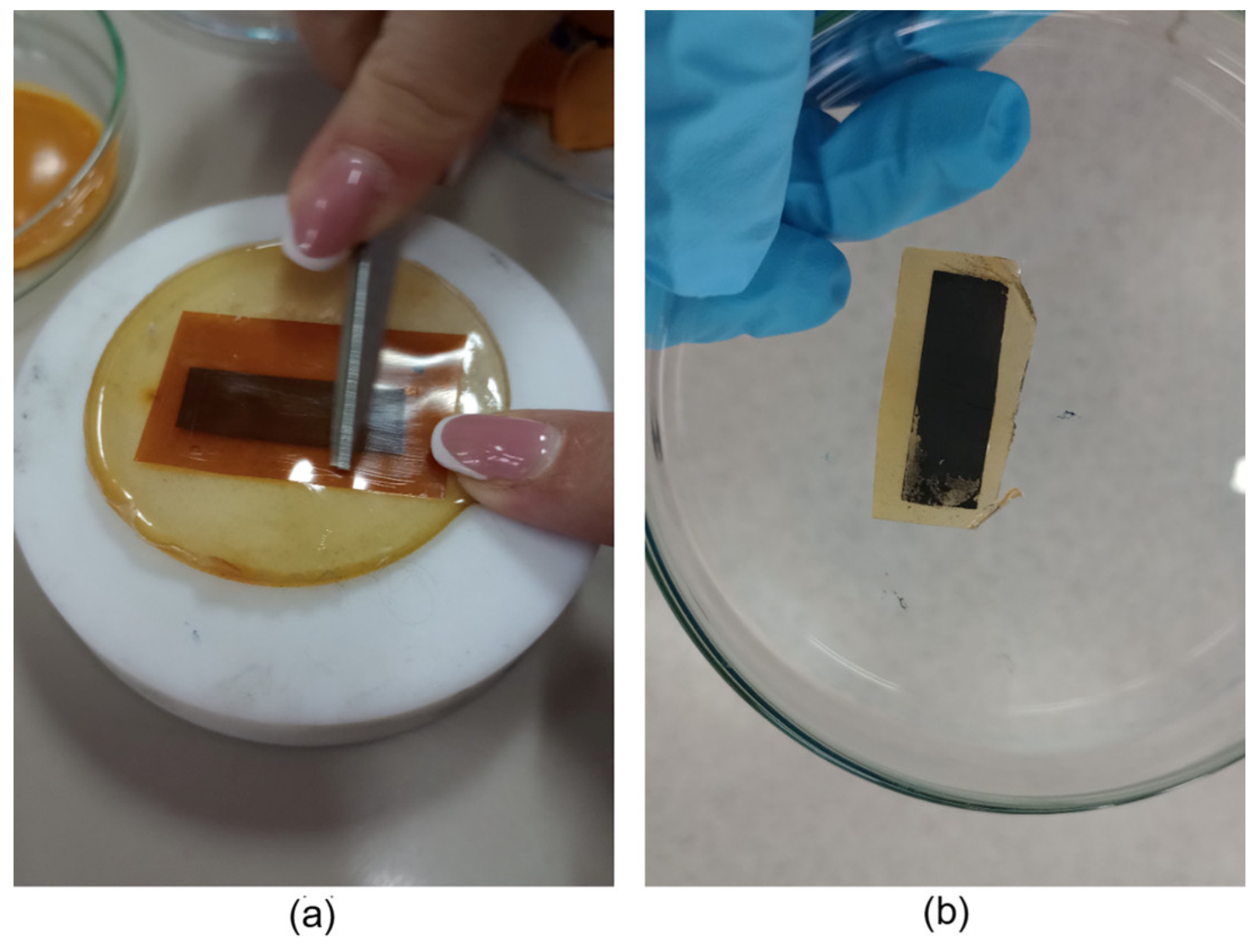 Chemosensors 13 00122 g003