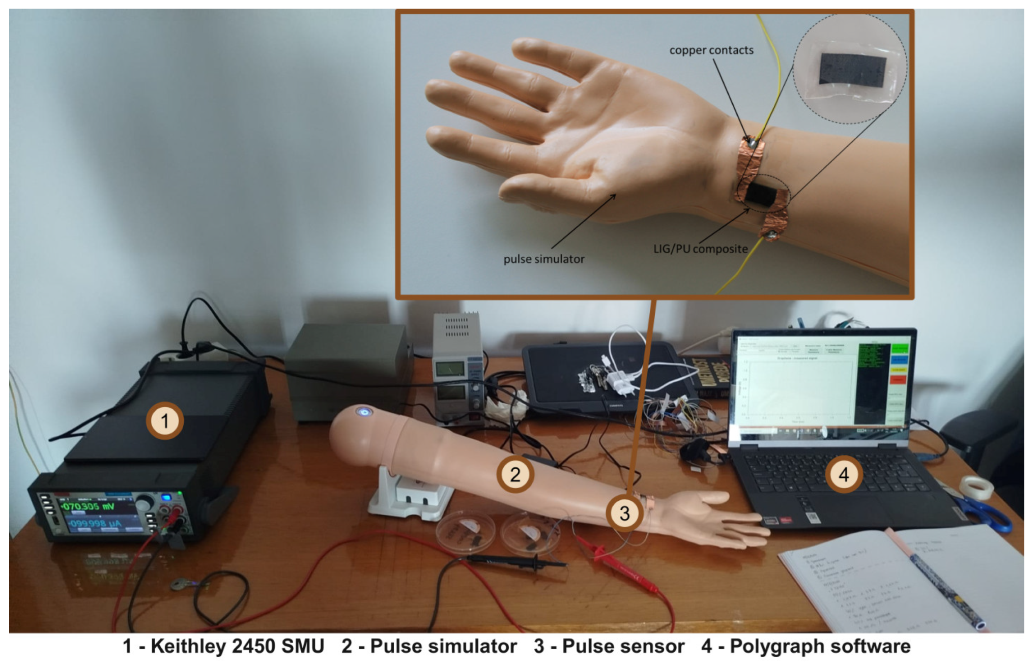 Chemosensors 13 00122 g005