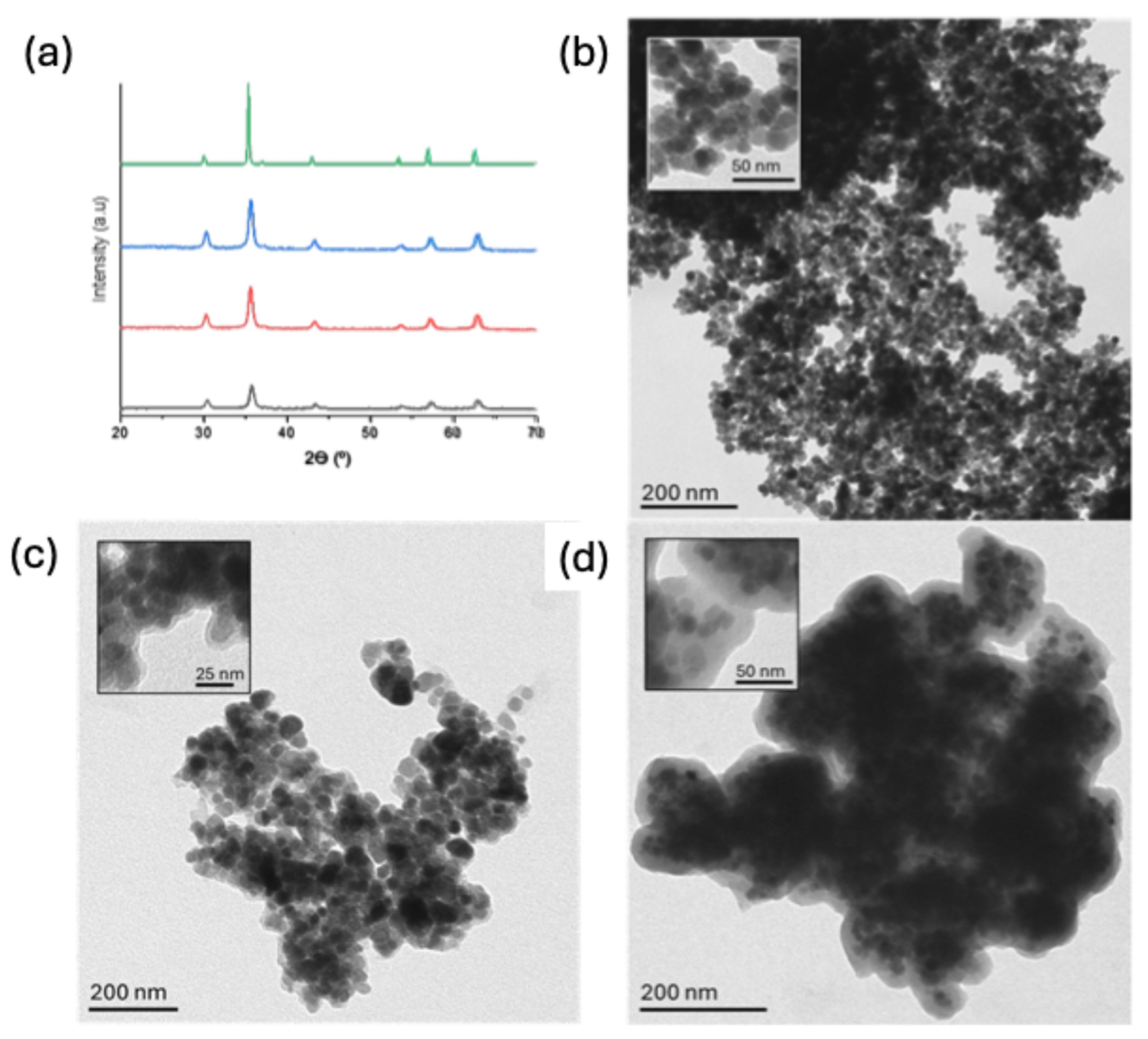 Chemosensors 13 00125 g001