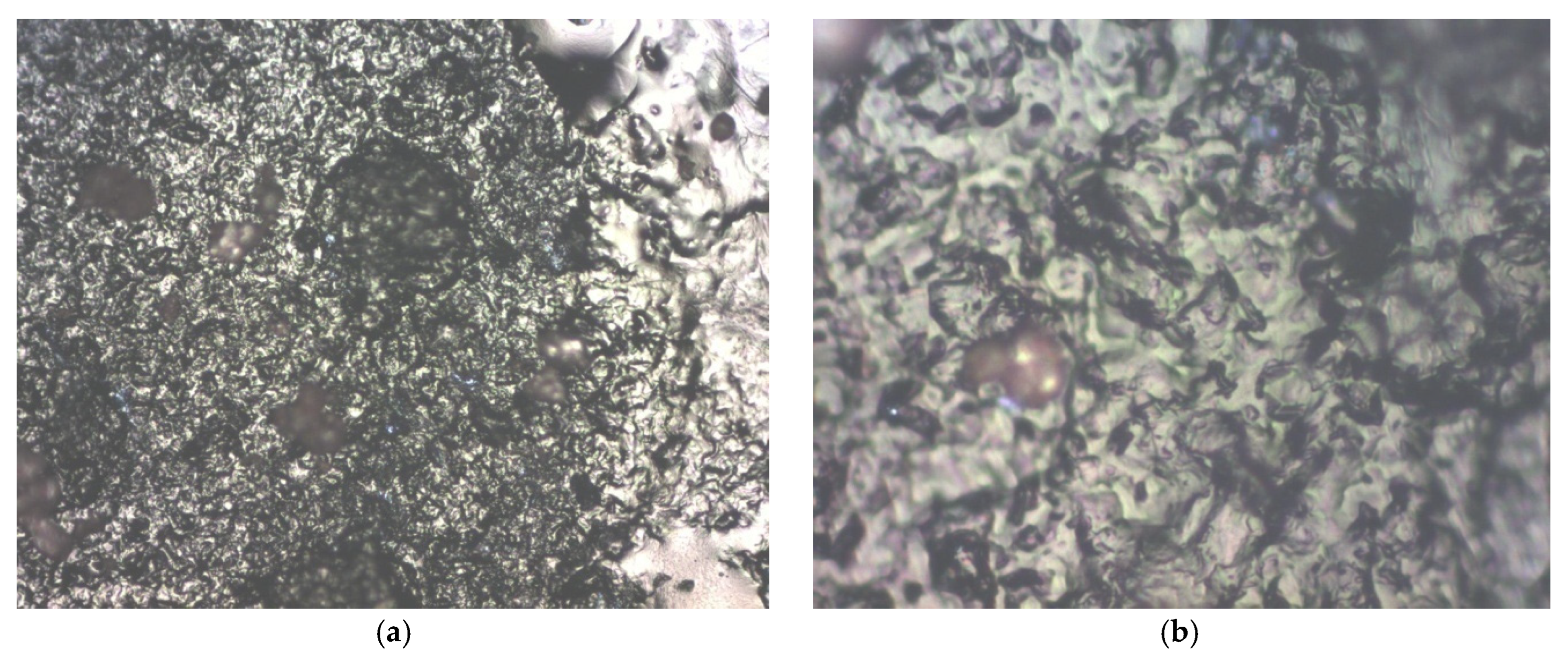 Chemosensors 13 00130 g007