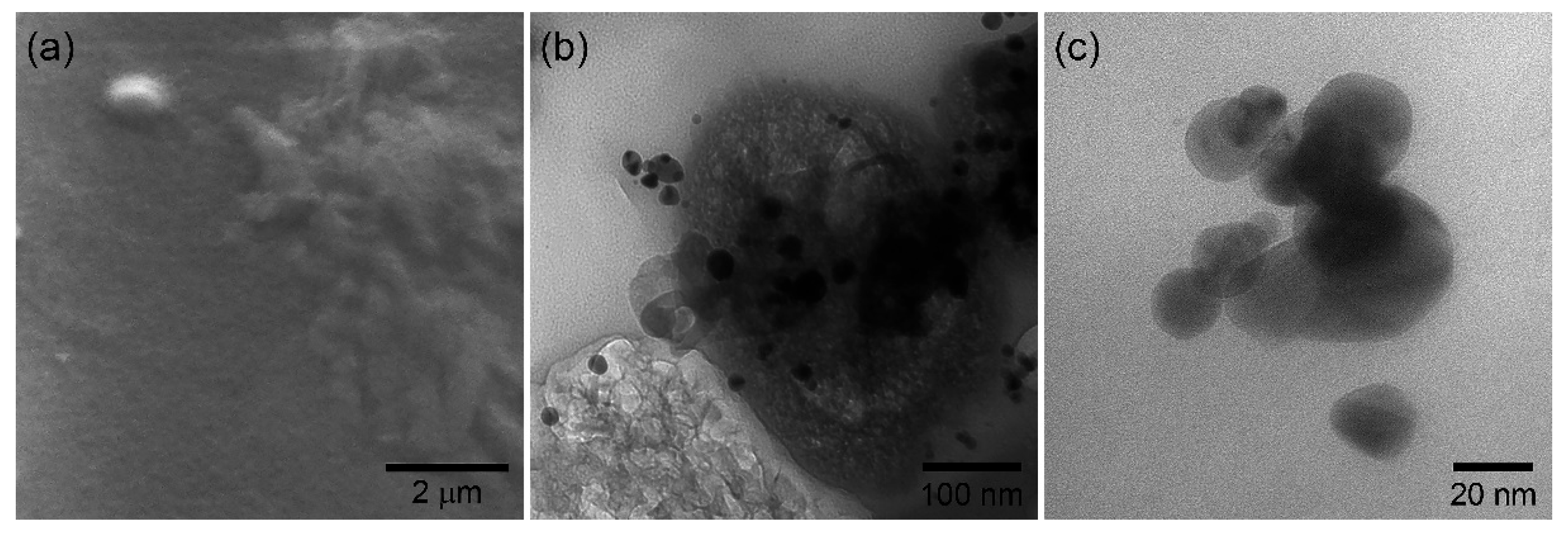 Chemosensors 13 00133 g002