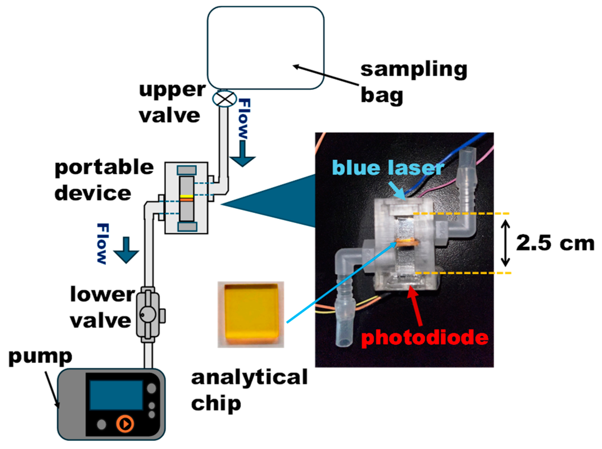 Chemosensors 13 00136 g001