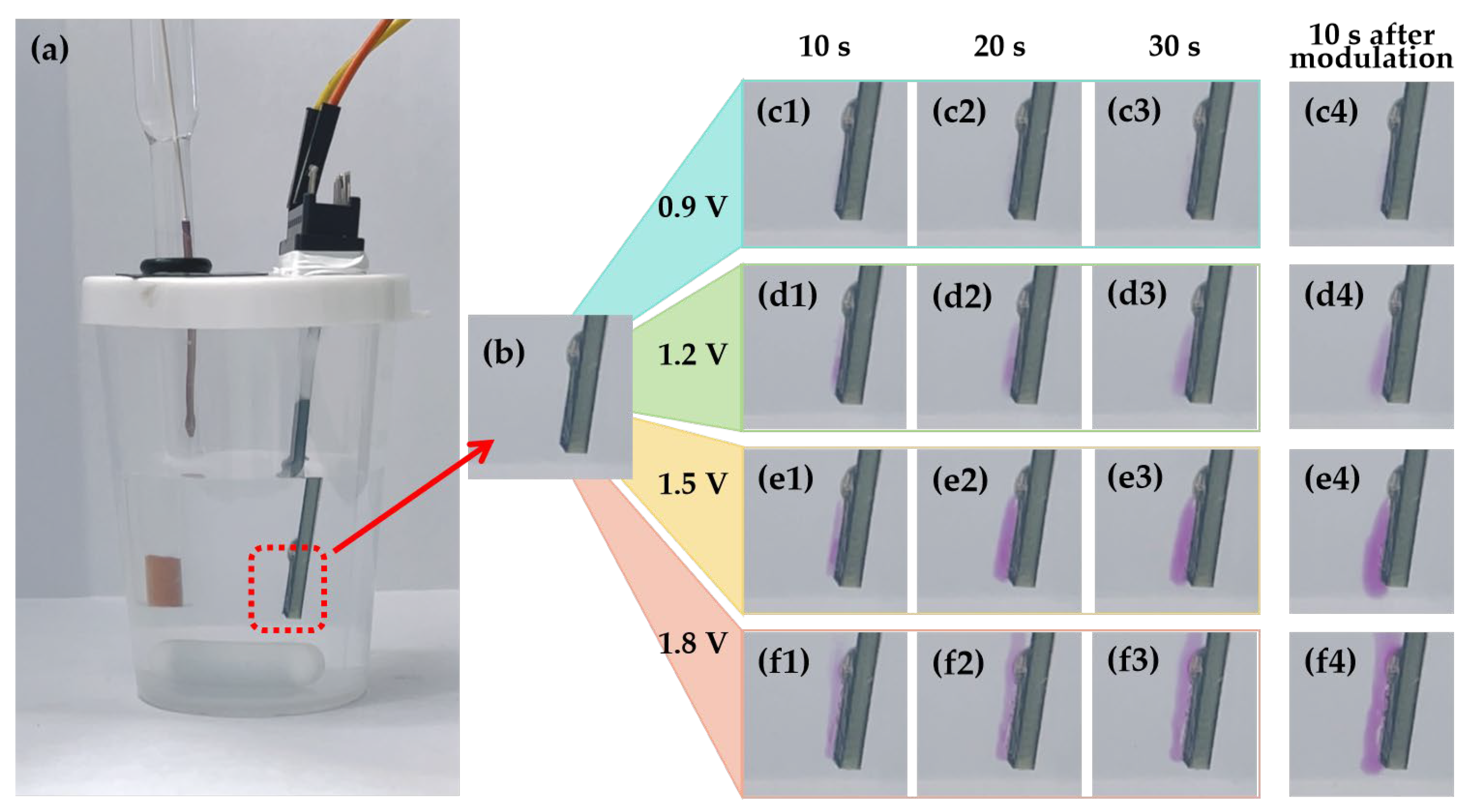 Chemosensors 13 00138 g003