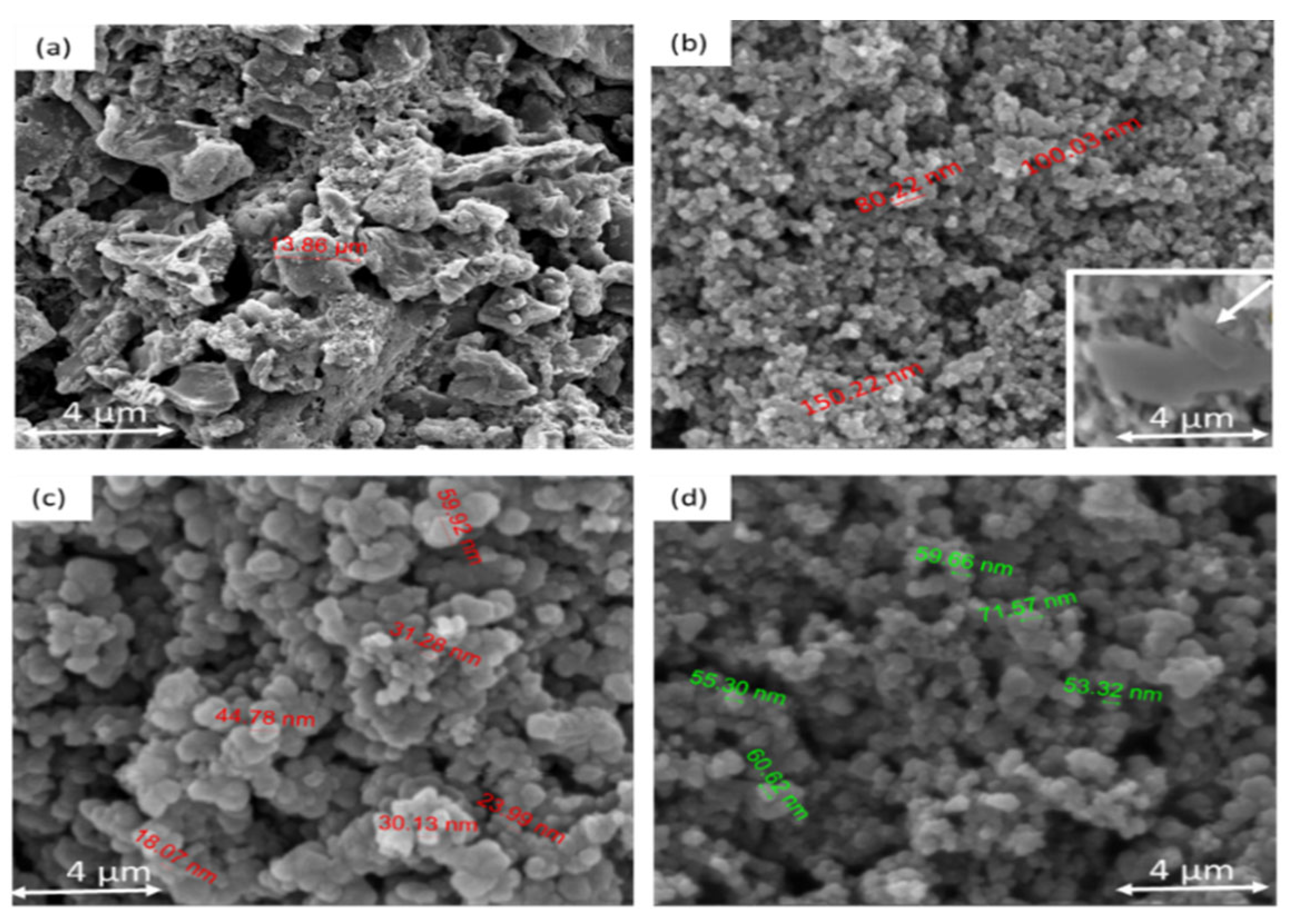 Chemosensors 13 00140 g003