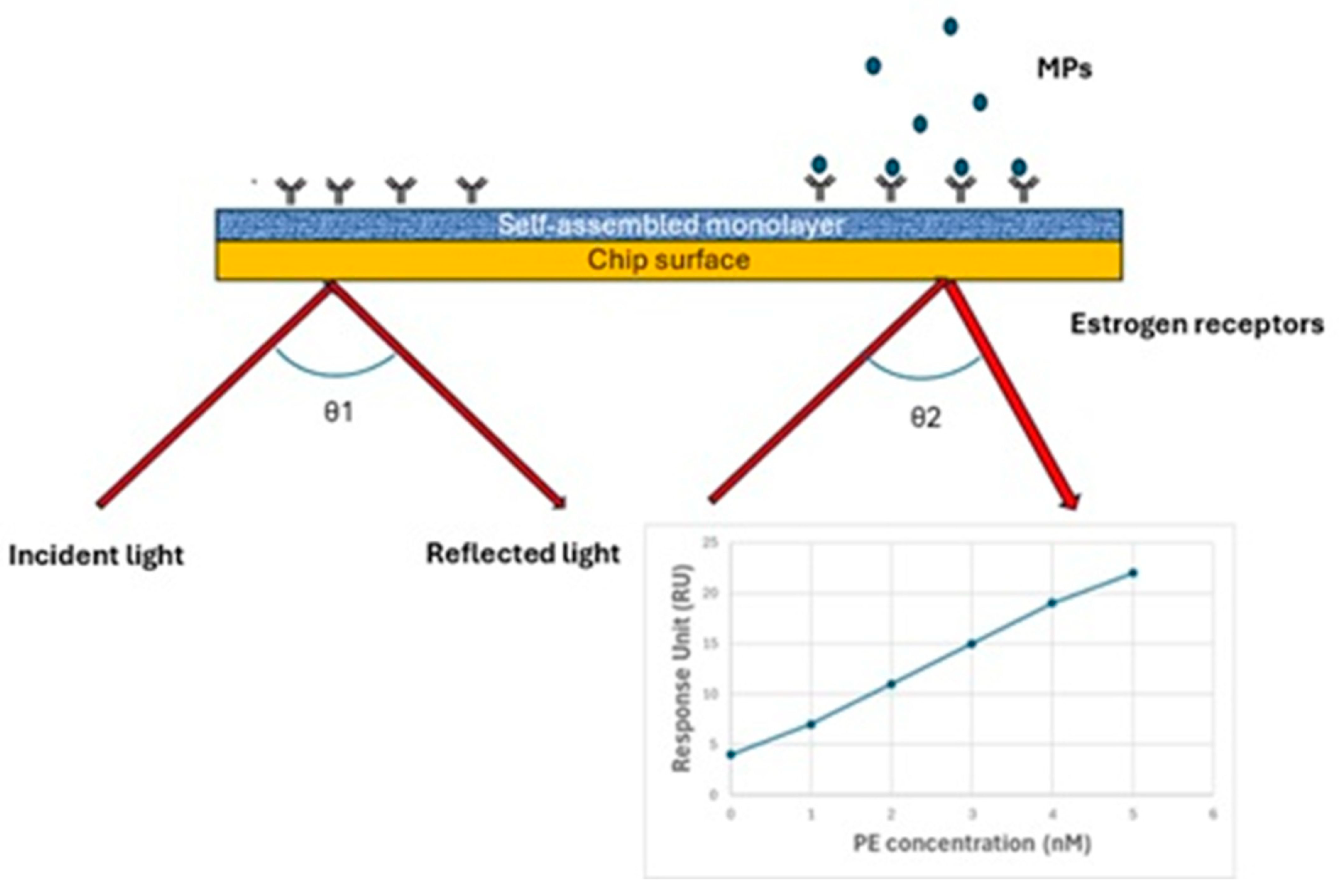 Chemosensors 13 00143 g005