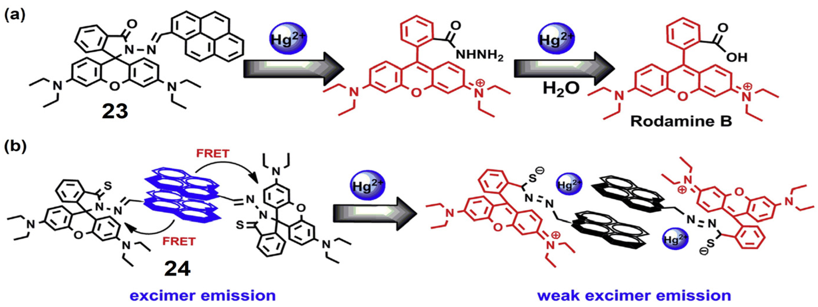 Chemosensors 13 00145 g011