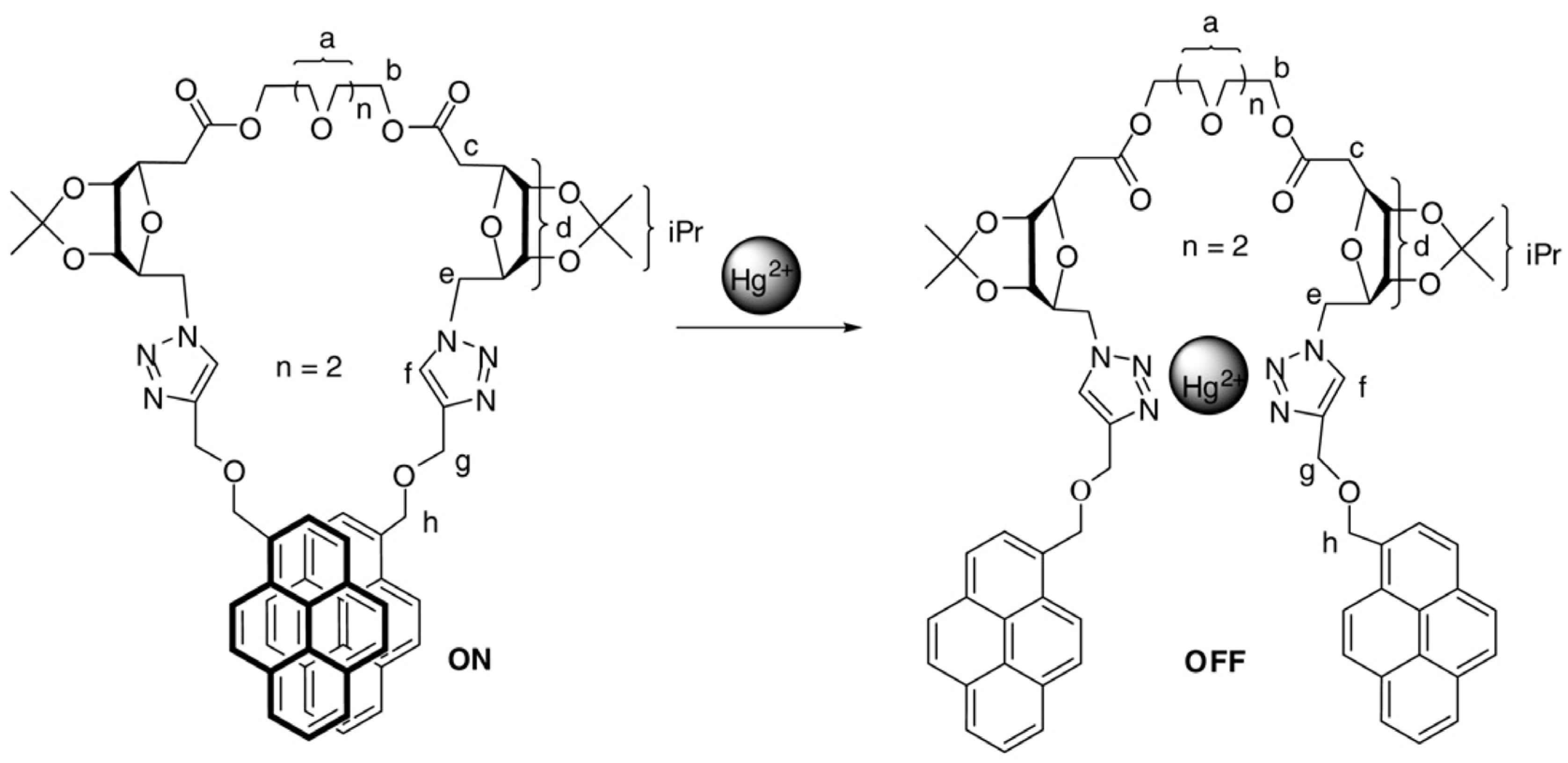 Chemosensors 13 00145 g014