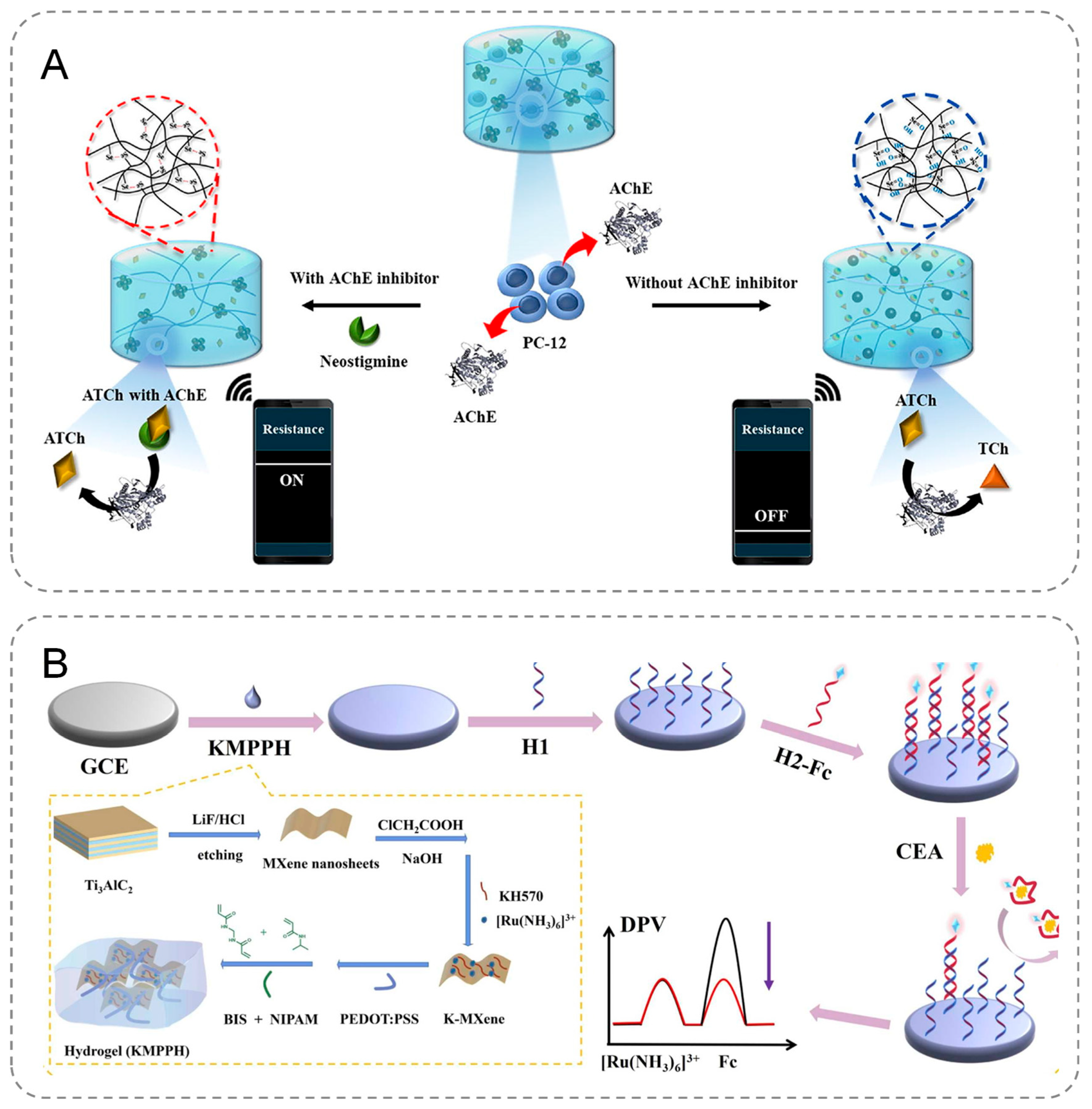 Chemosensors 13 00146 g003
