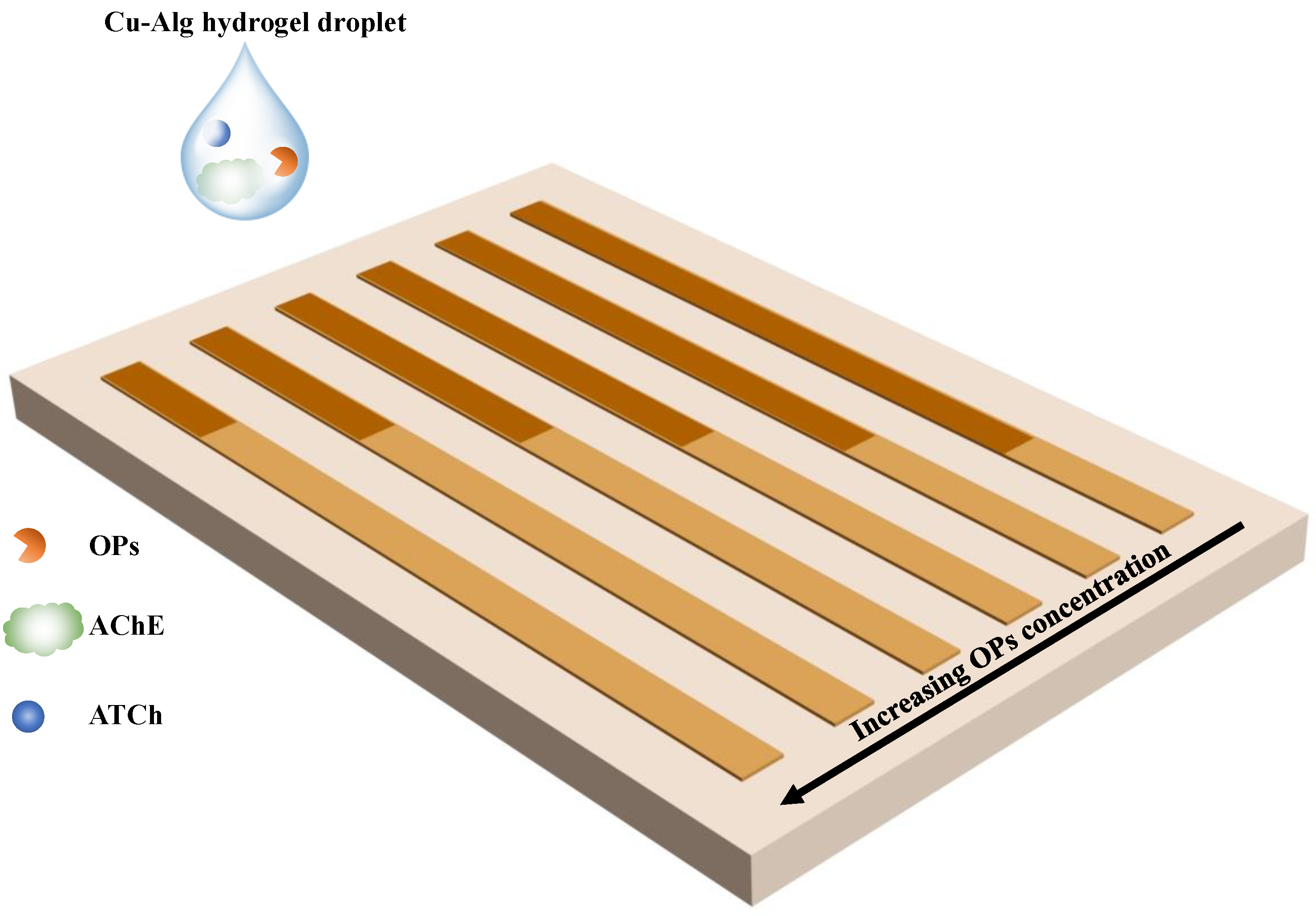 Chemosensors 13 00147 g001