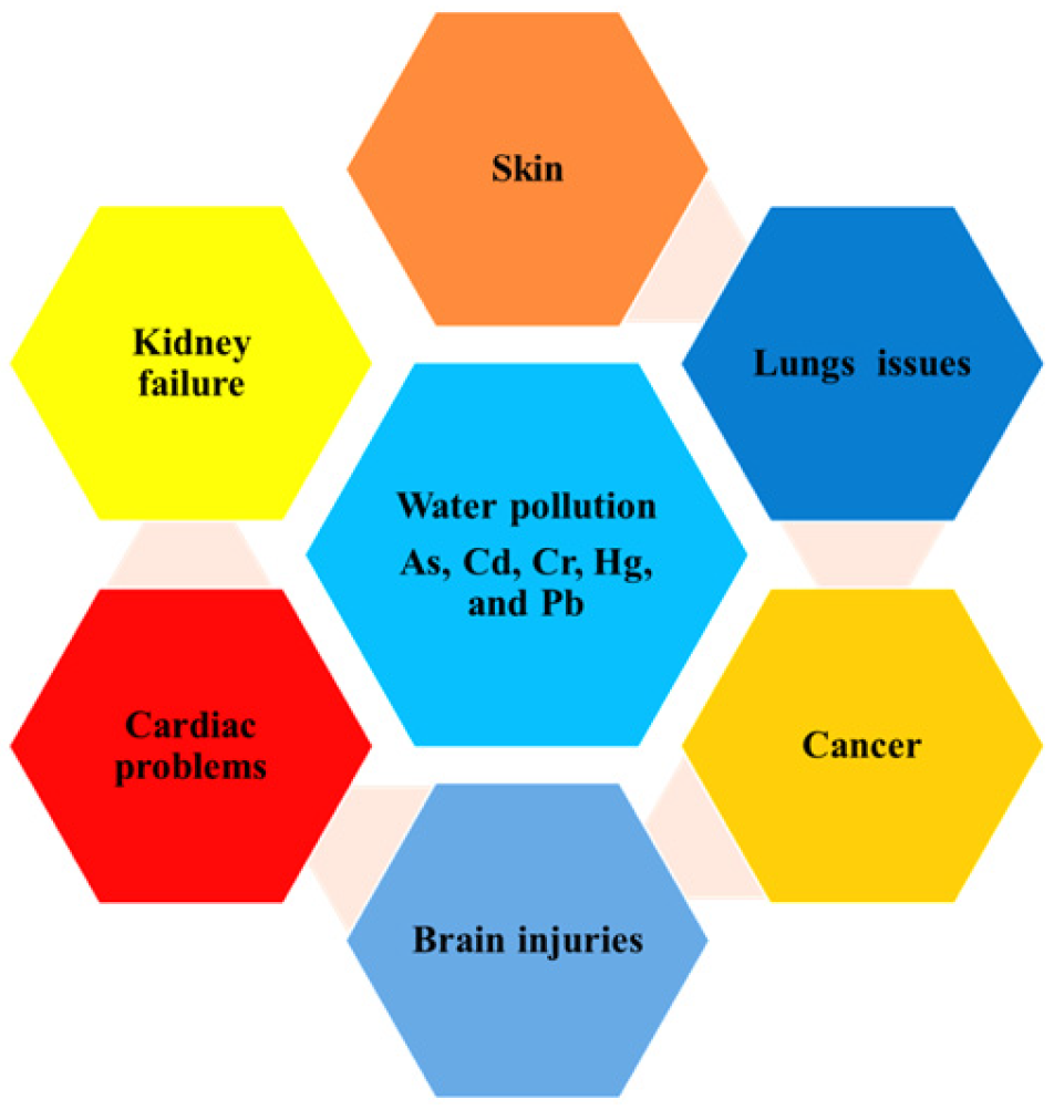 Chemosensors 13 00149 g001