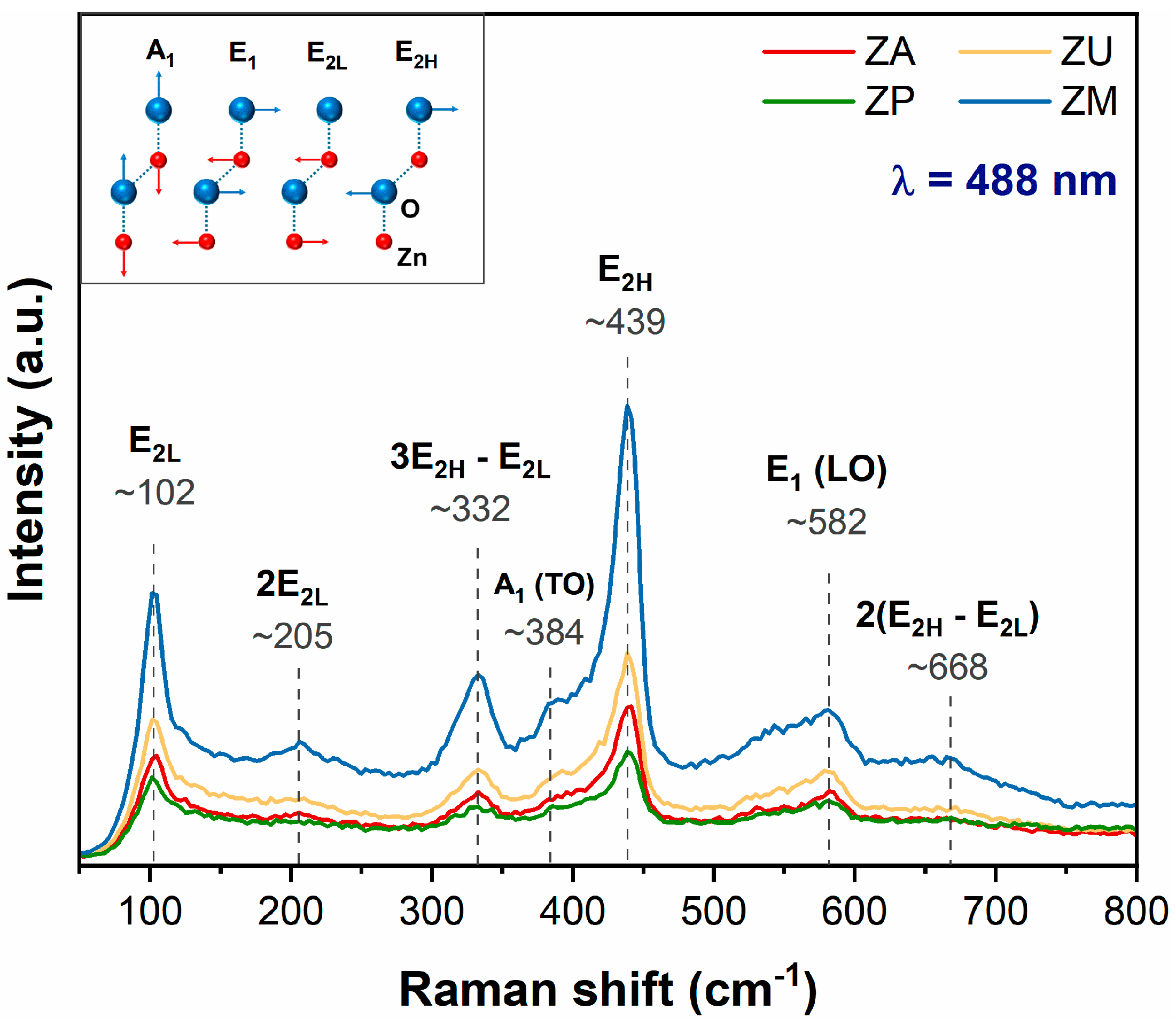 Chemosensors 13 00152 g002