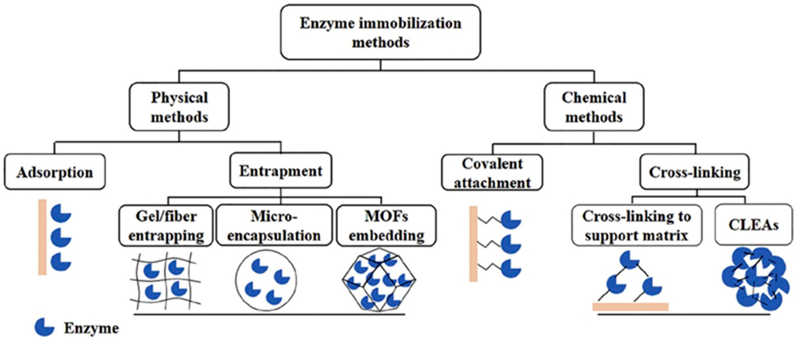 Chemosensors 13 00159 g002 Chemosensors 13 00159 g002