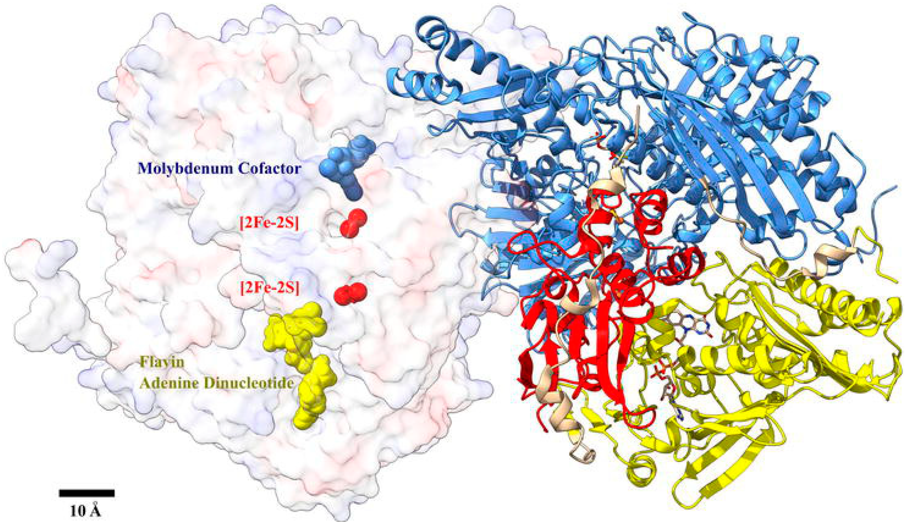 Chemosensors 13 00159 g003 Chemosensors 13 00159 g003