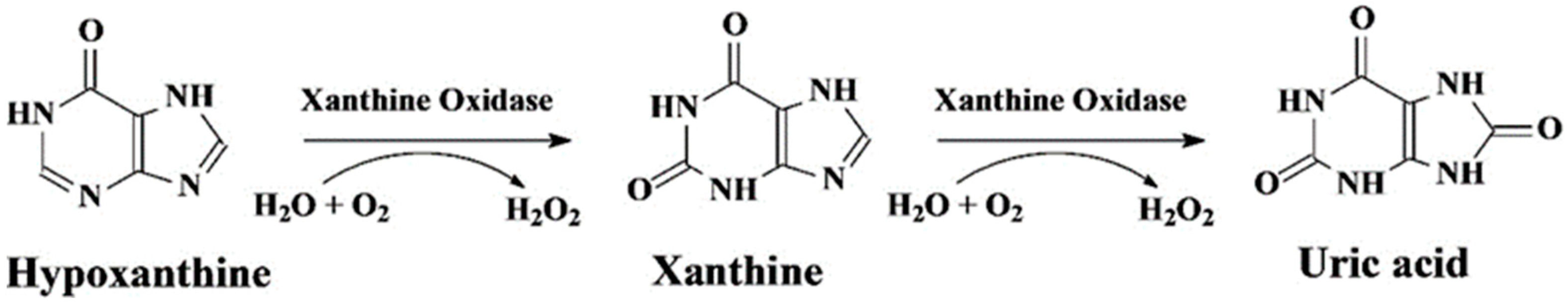 Chemosensors 13 00159 g004 Chemosensors 13 00159 g004