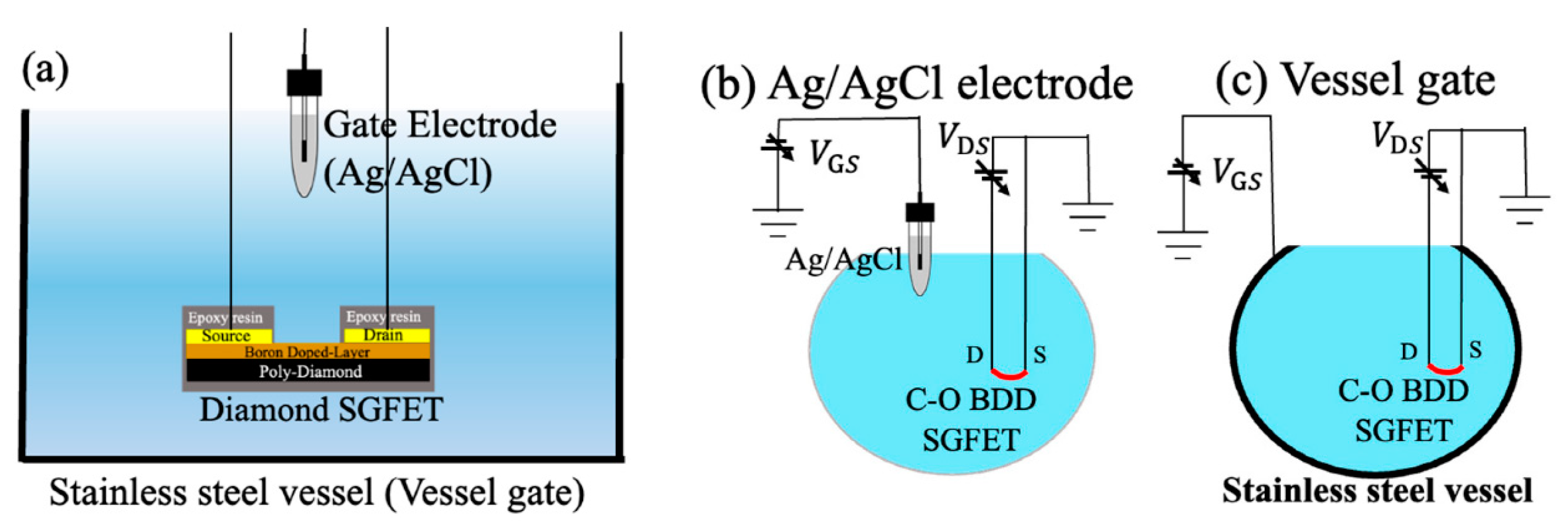 Chemosensors 13 00160 g005