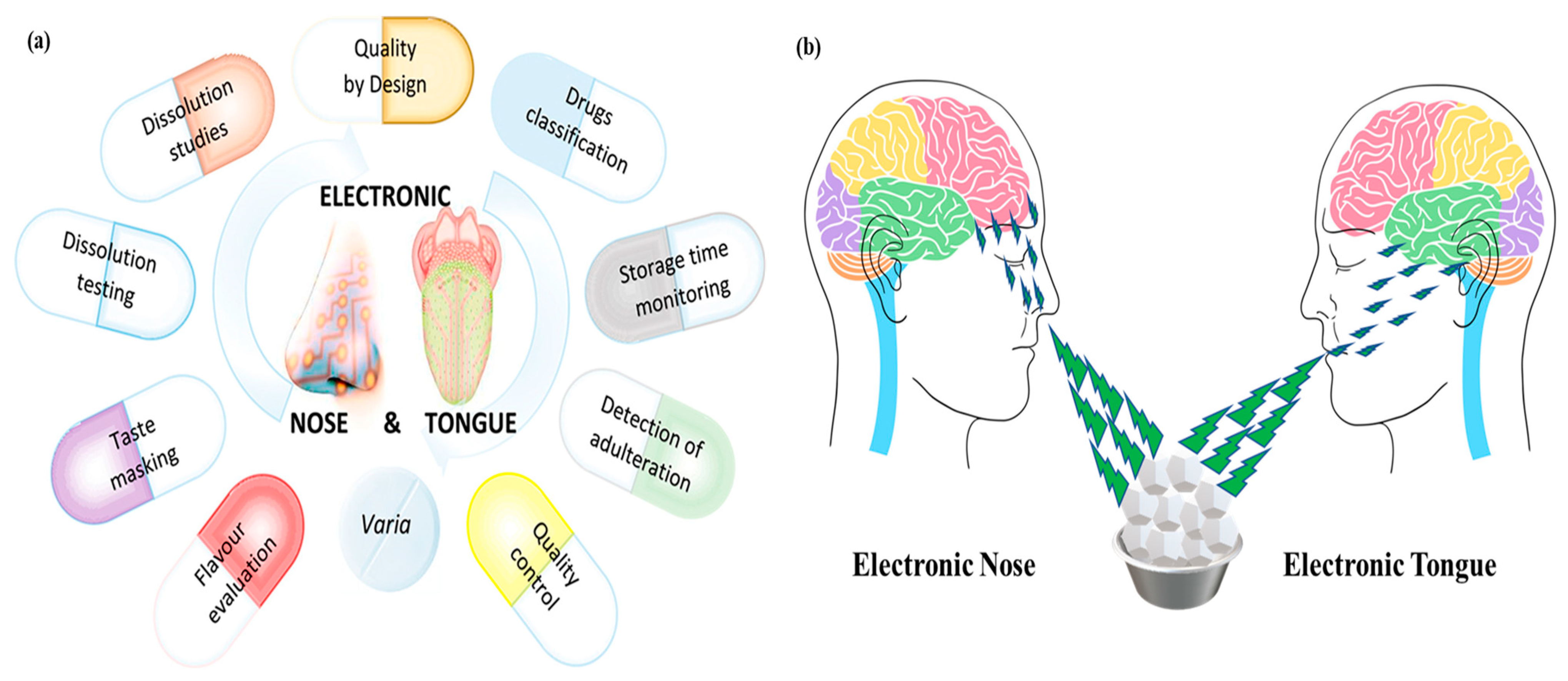 Chemosensors 13 00161 g001