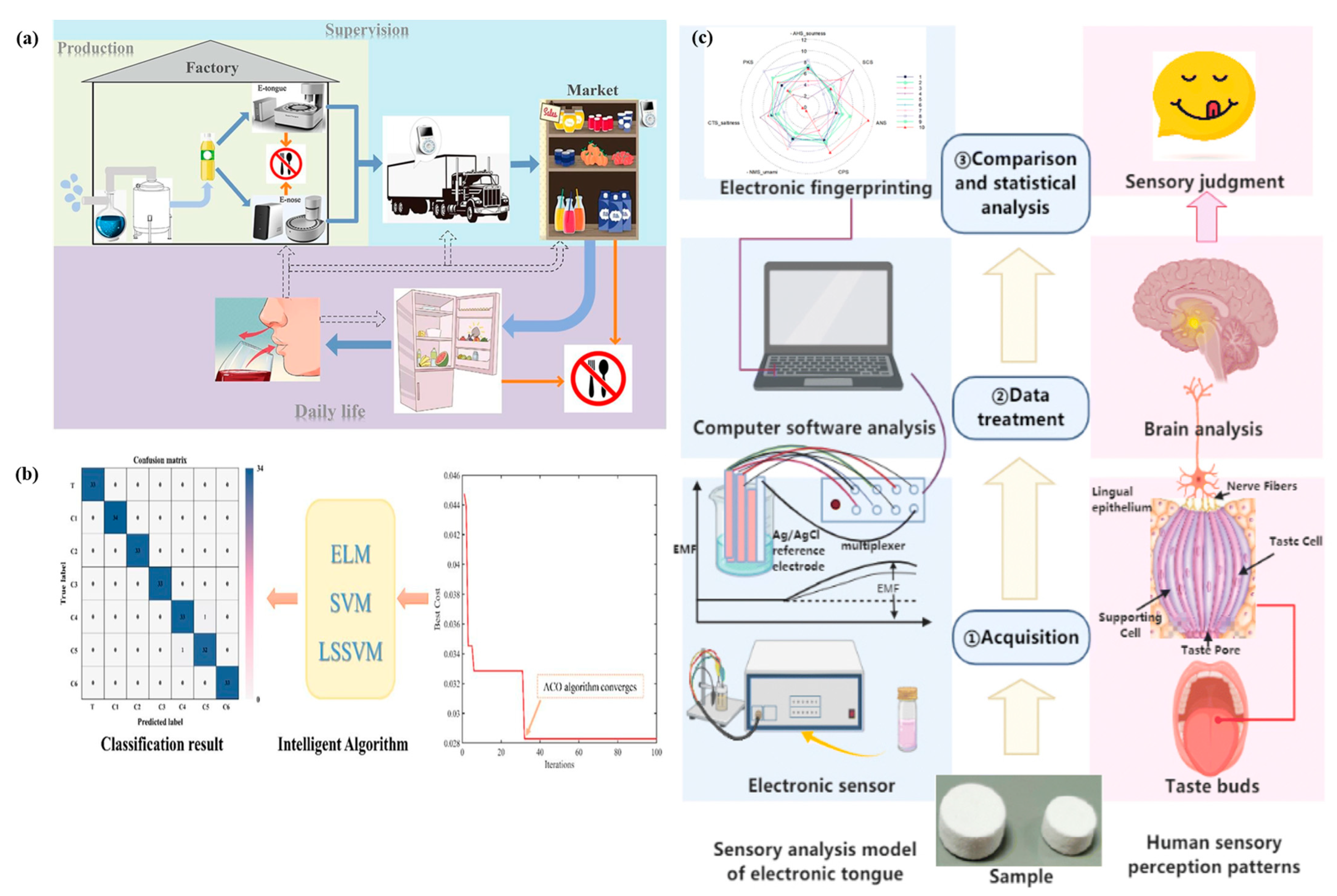 Chemosensors 13 00161 g004