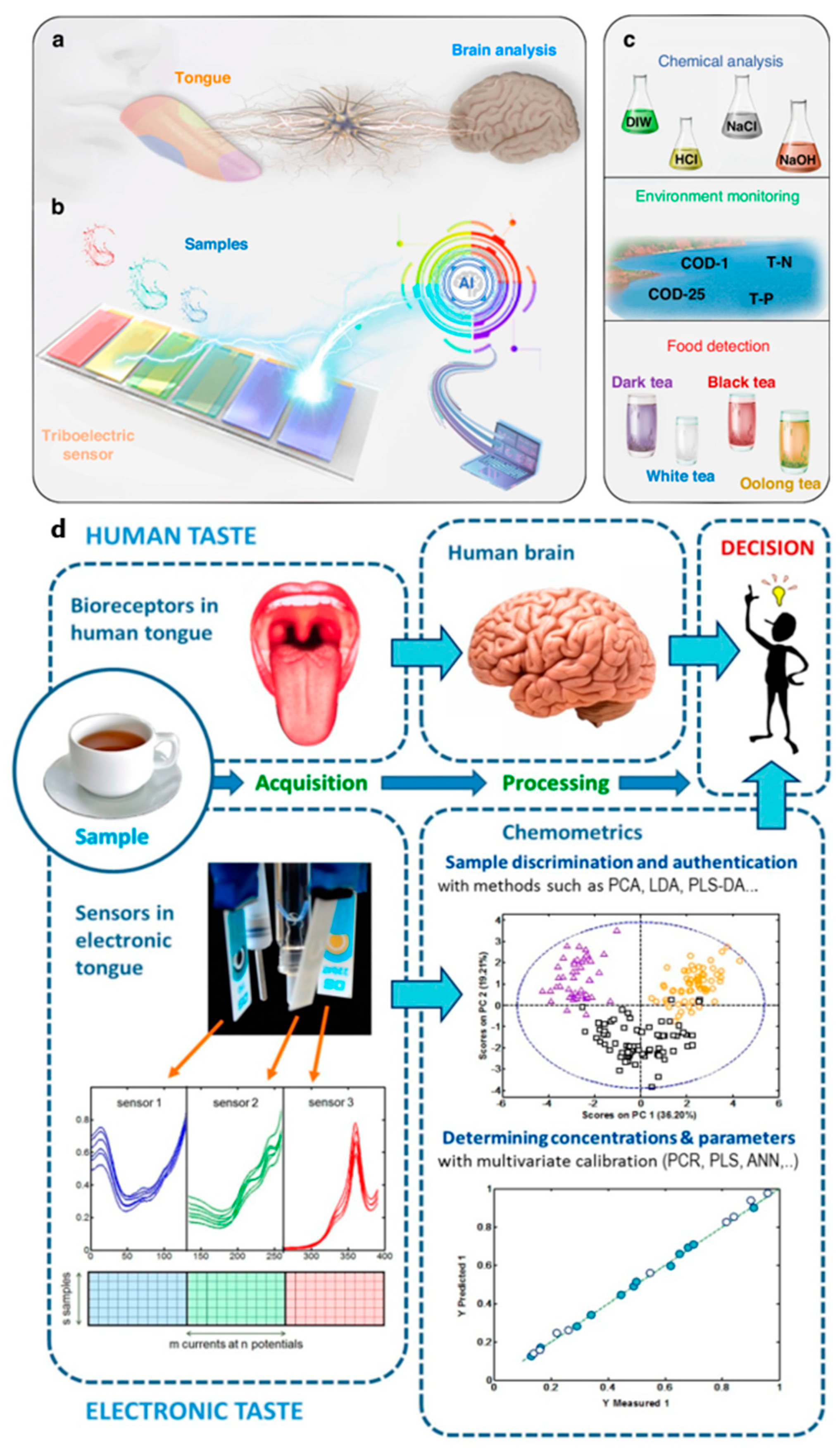 Chemosensors 13 00161 g005
