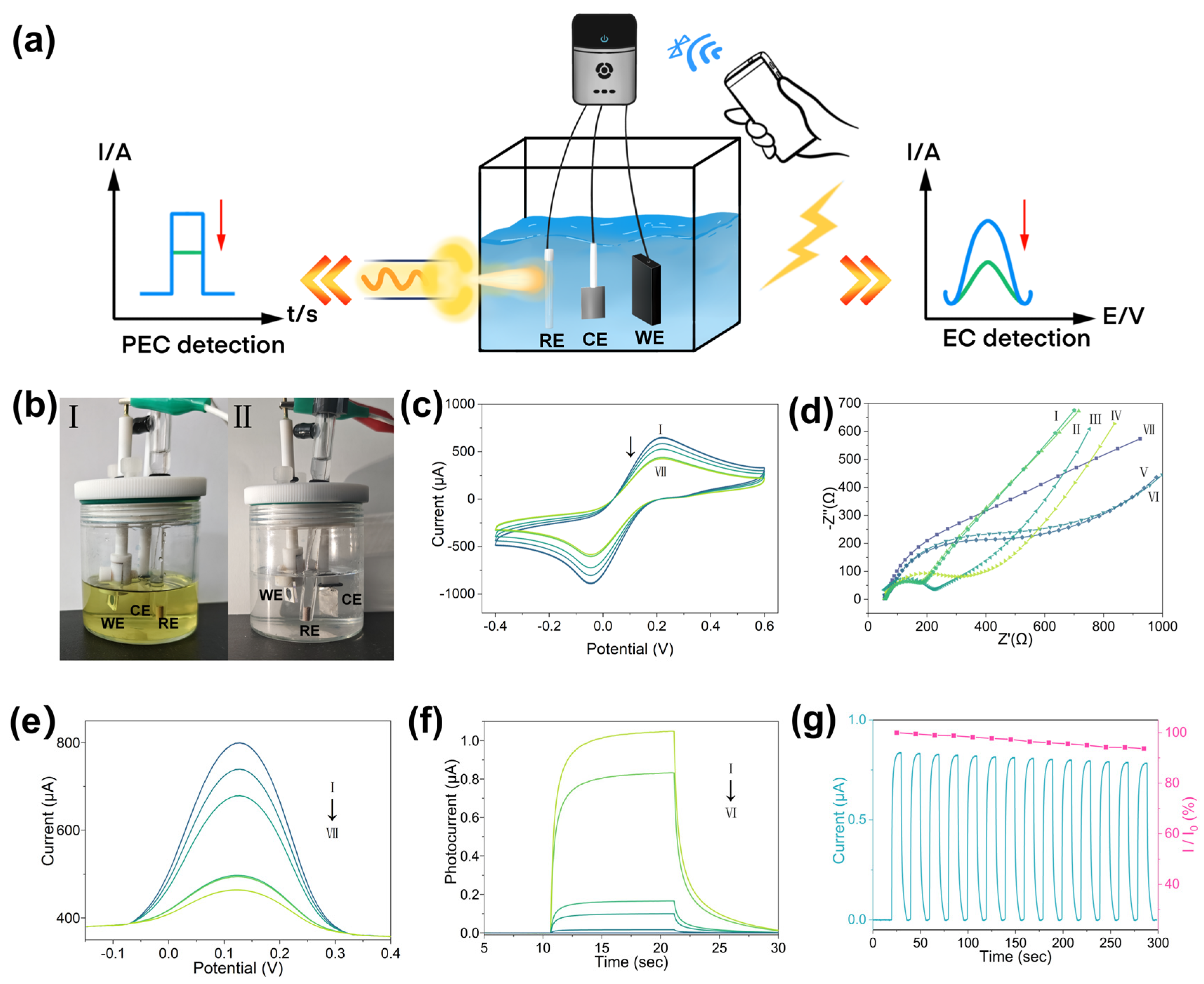 Chemosensors 13 00167 g003