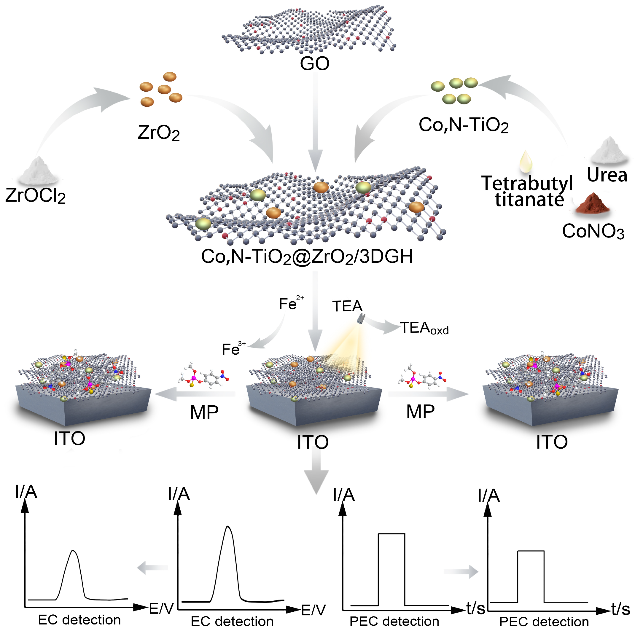 Chemosensors 13 00167 sch001