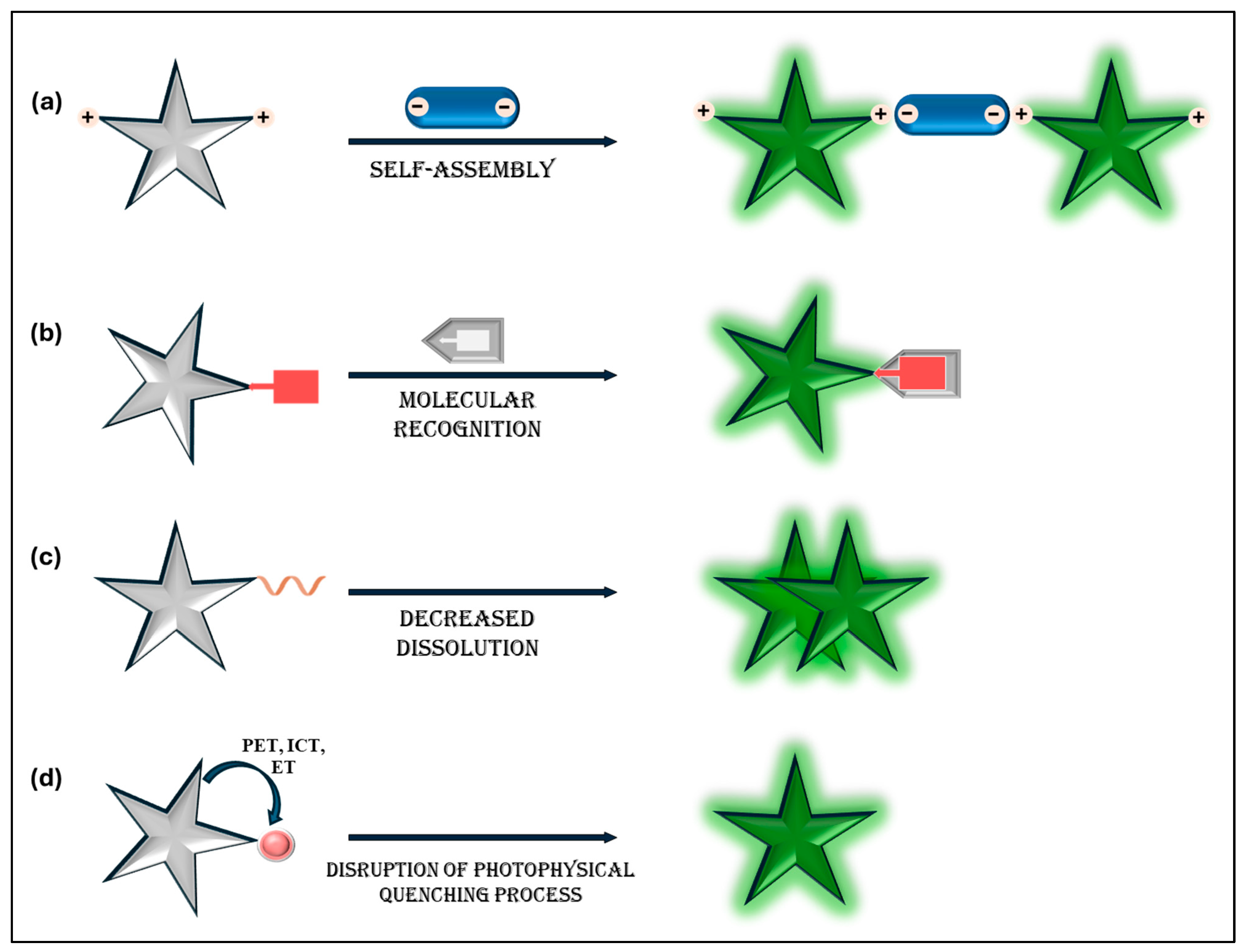Chemosensors 13 00174 g001