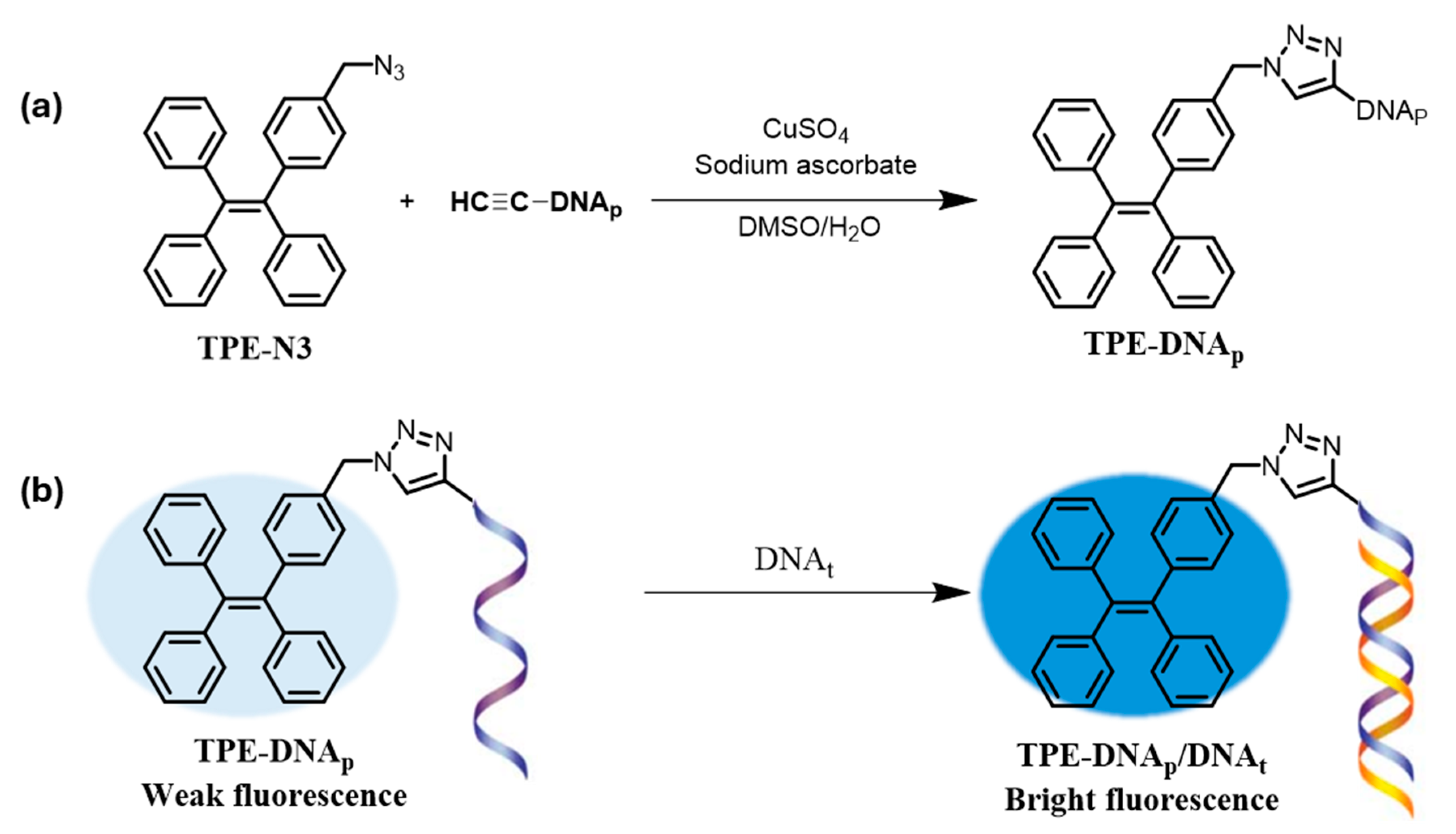 Chemosensors 13 00174 g002