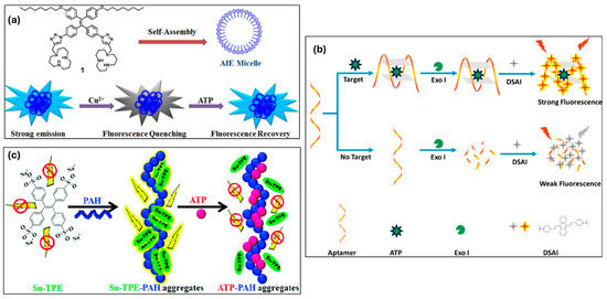 Chemosensors 13 00174 g011