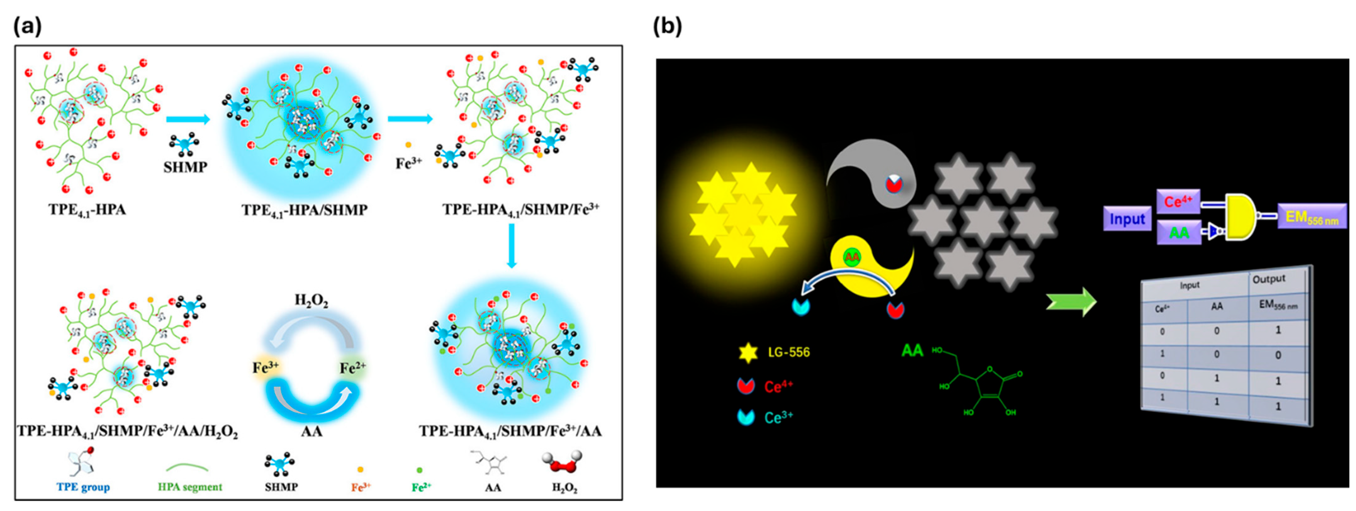 Chemosensors 13 00174 g012