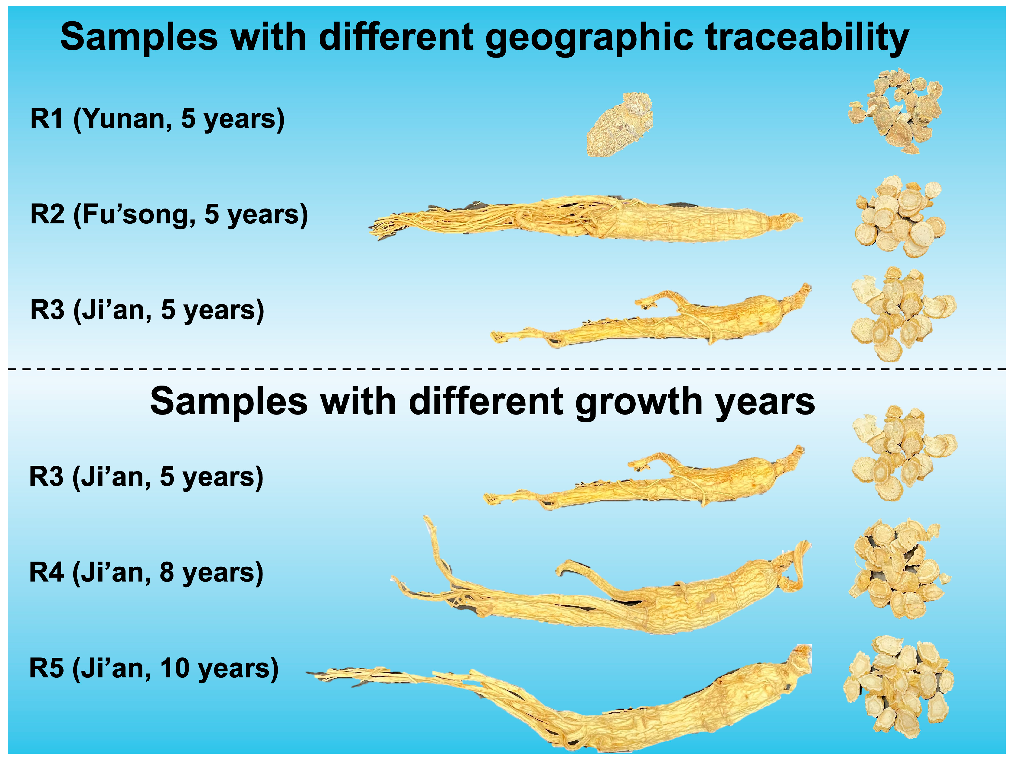 Chemosensors 13 00176 g001