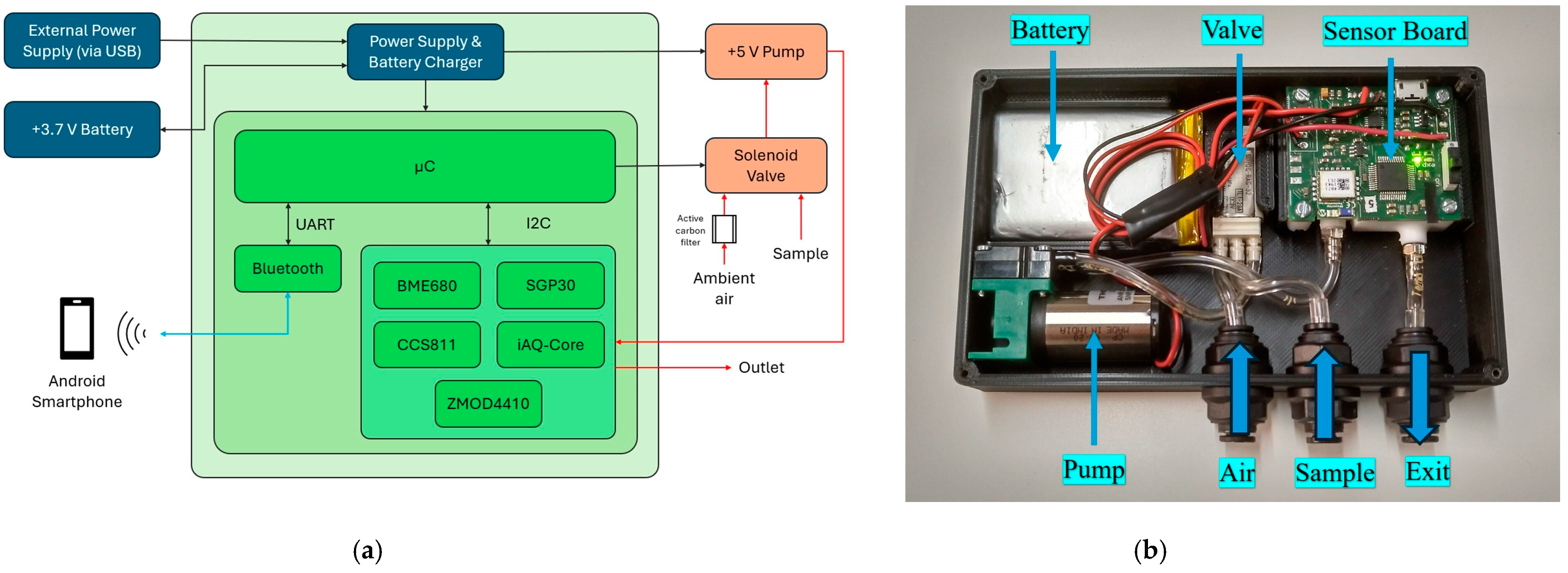 Chemosensors 13 00178 g001