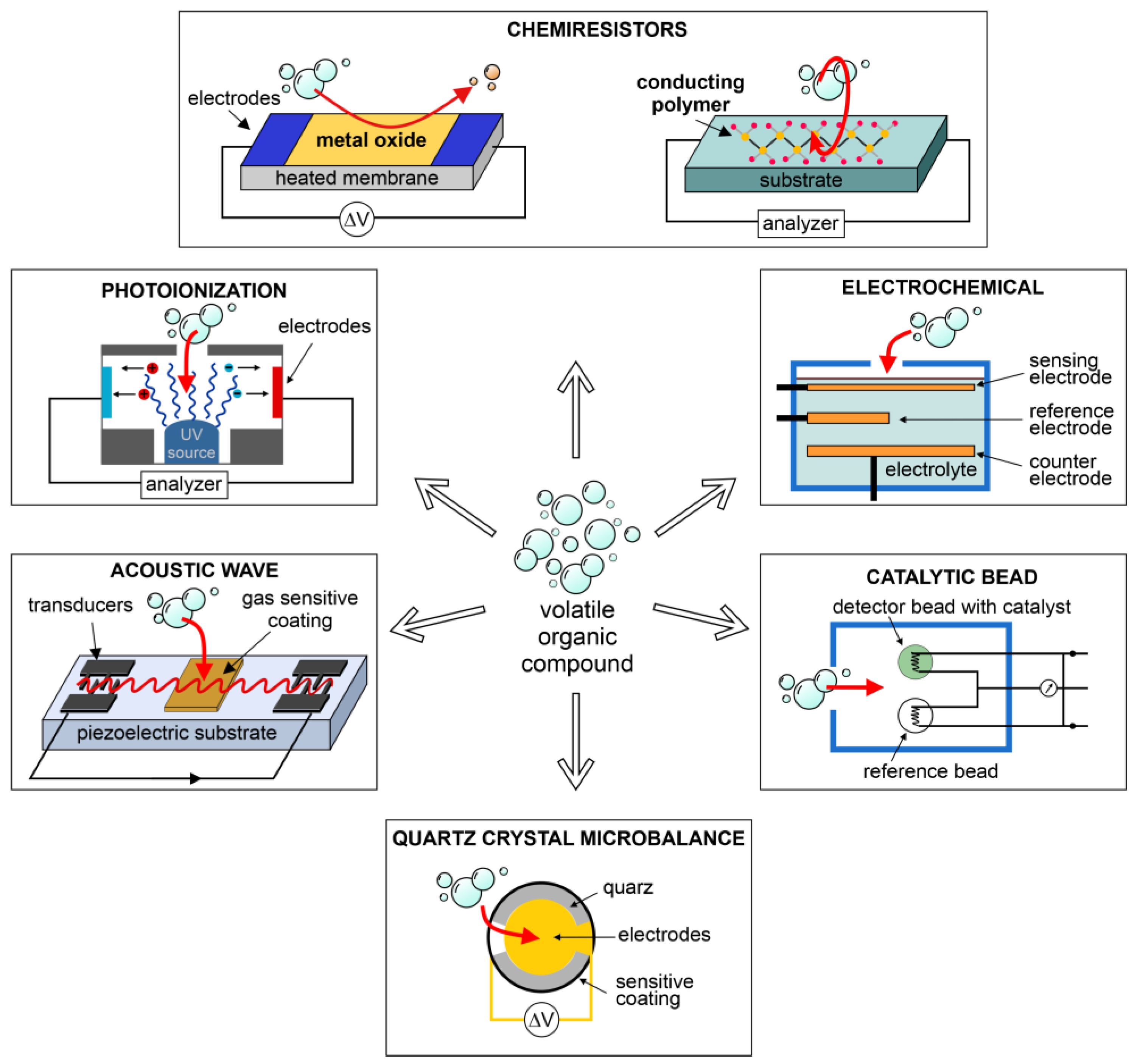 Chemosensors 13 00181 g005