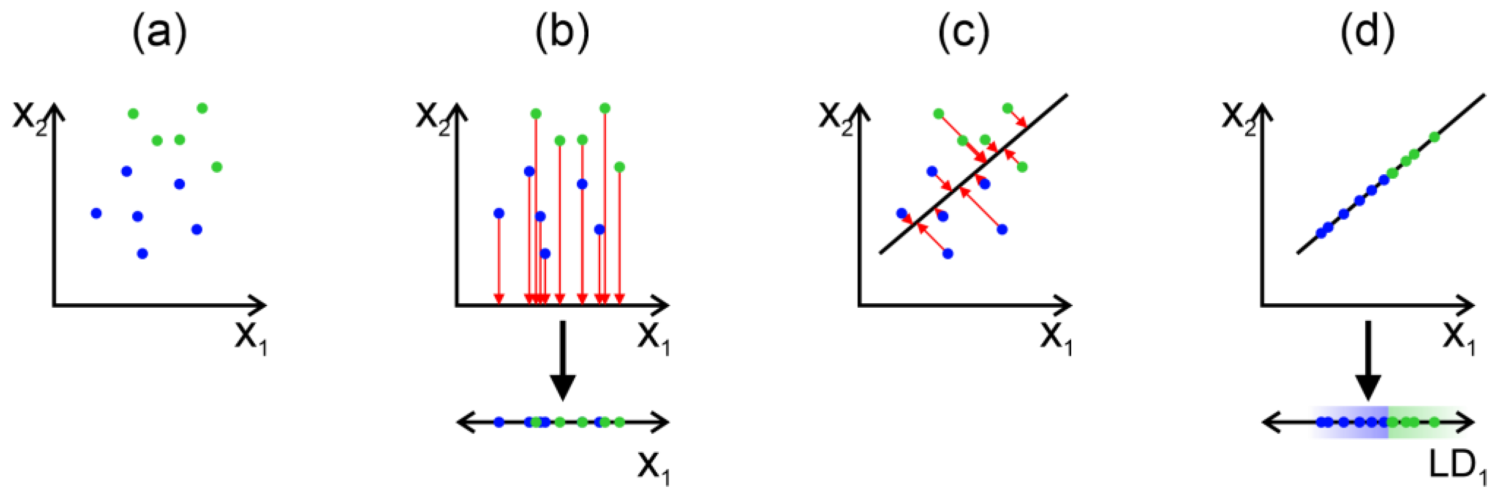 Chemosensors 13 00181 g008
