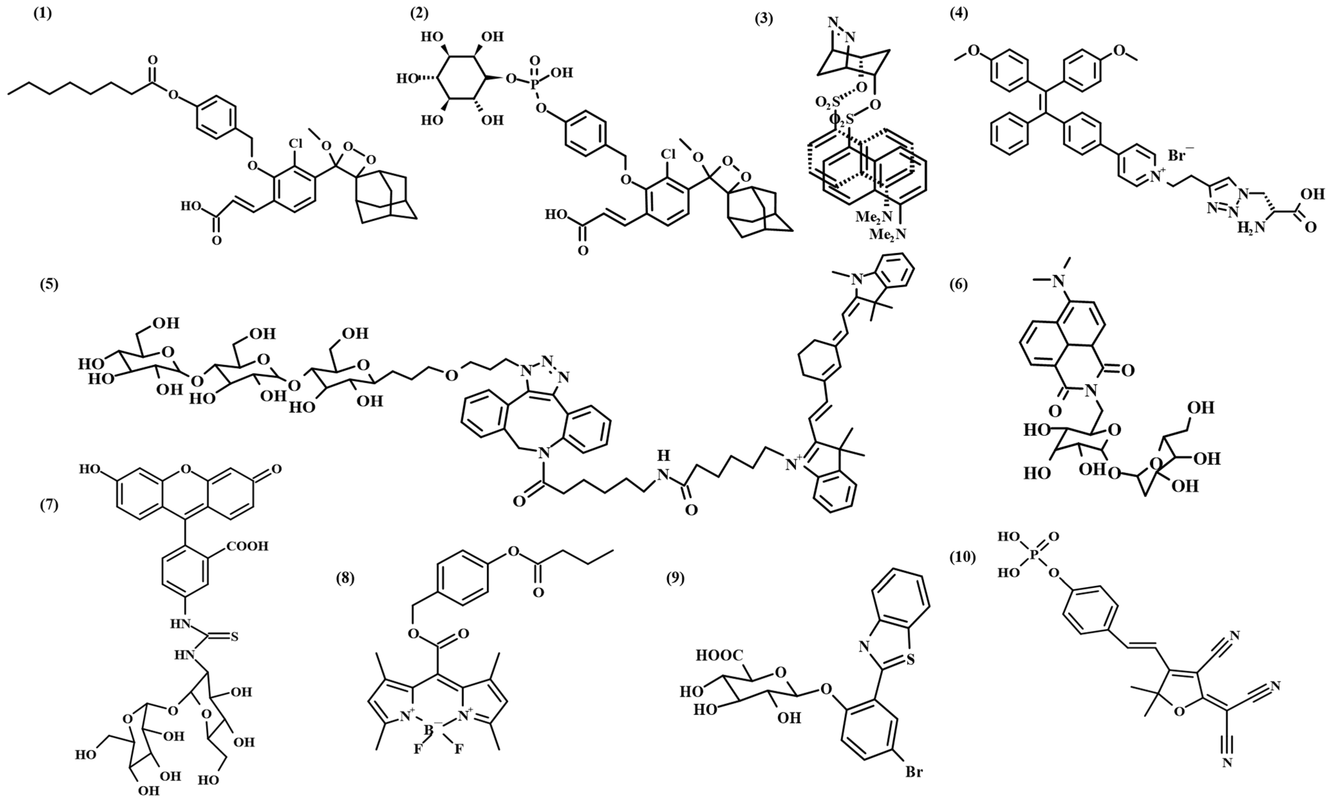 Chemosensors 13 00182 g003