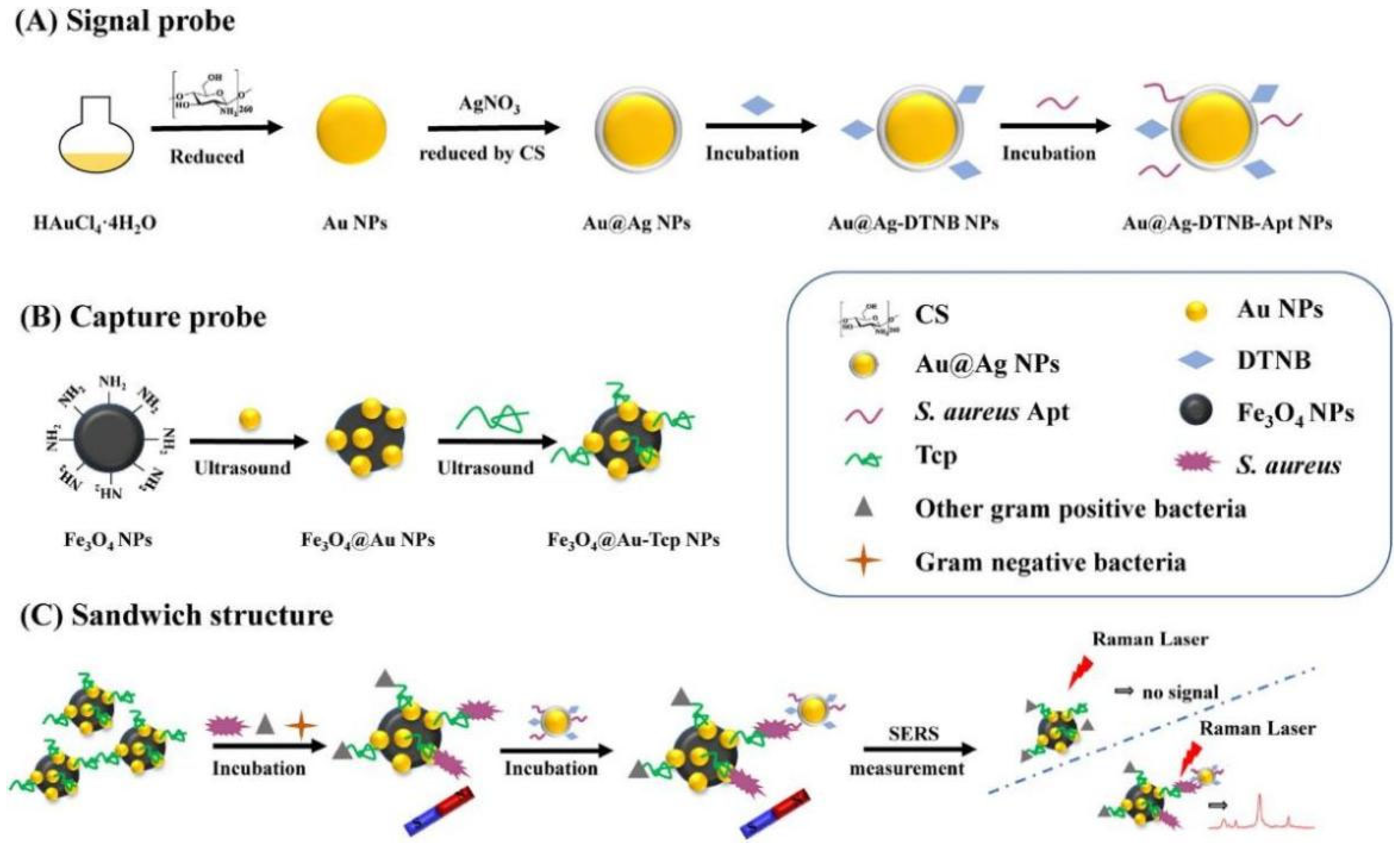 Chemosensors 13 00182 g009