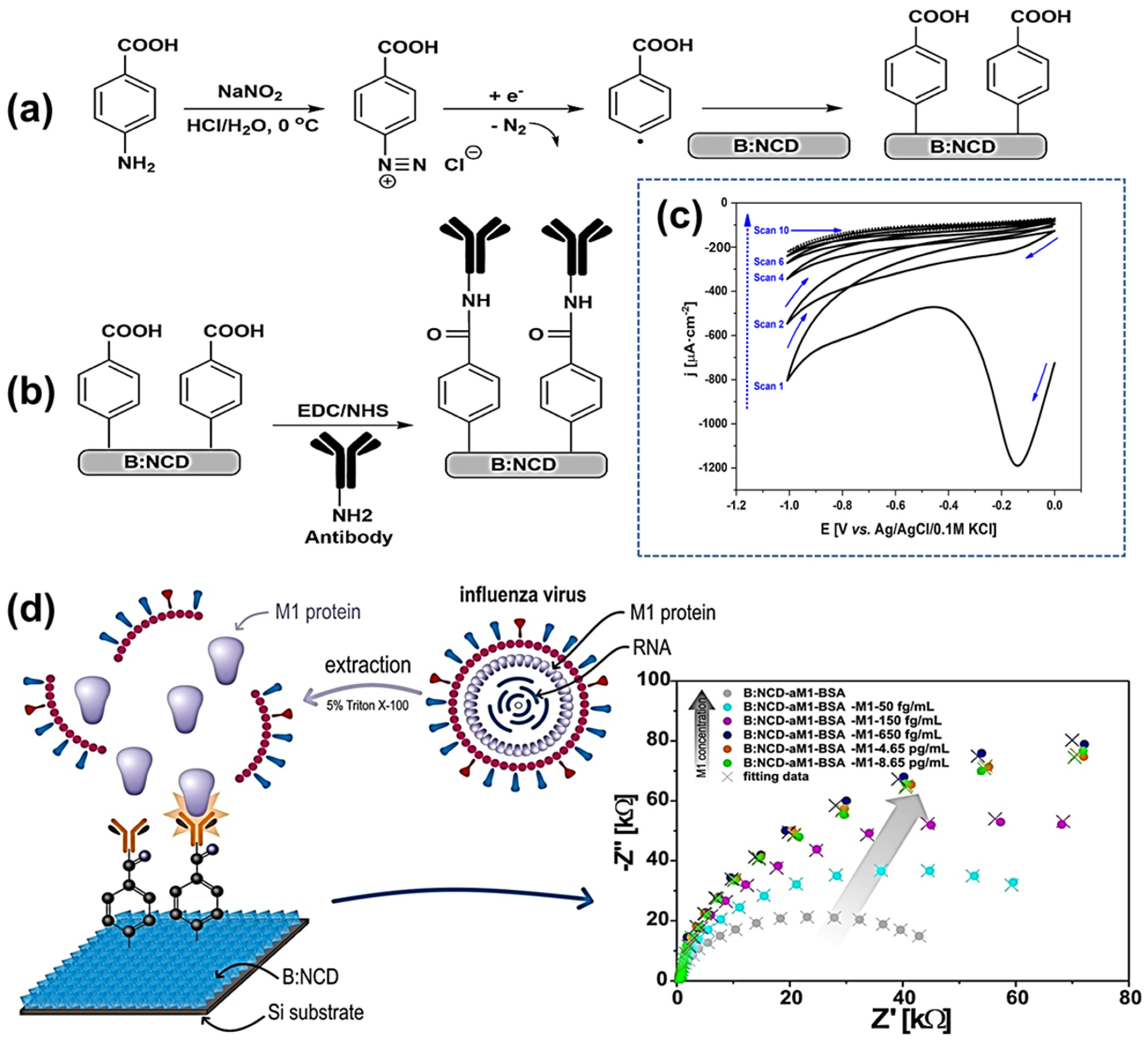 Chemosensors 13 00183 g008