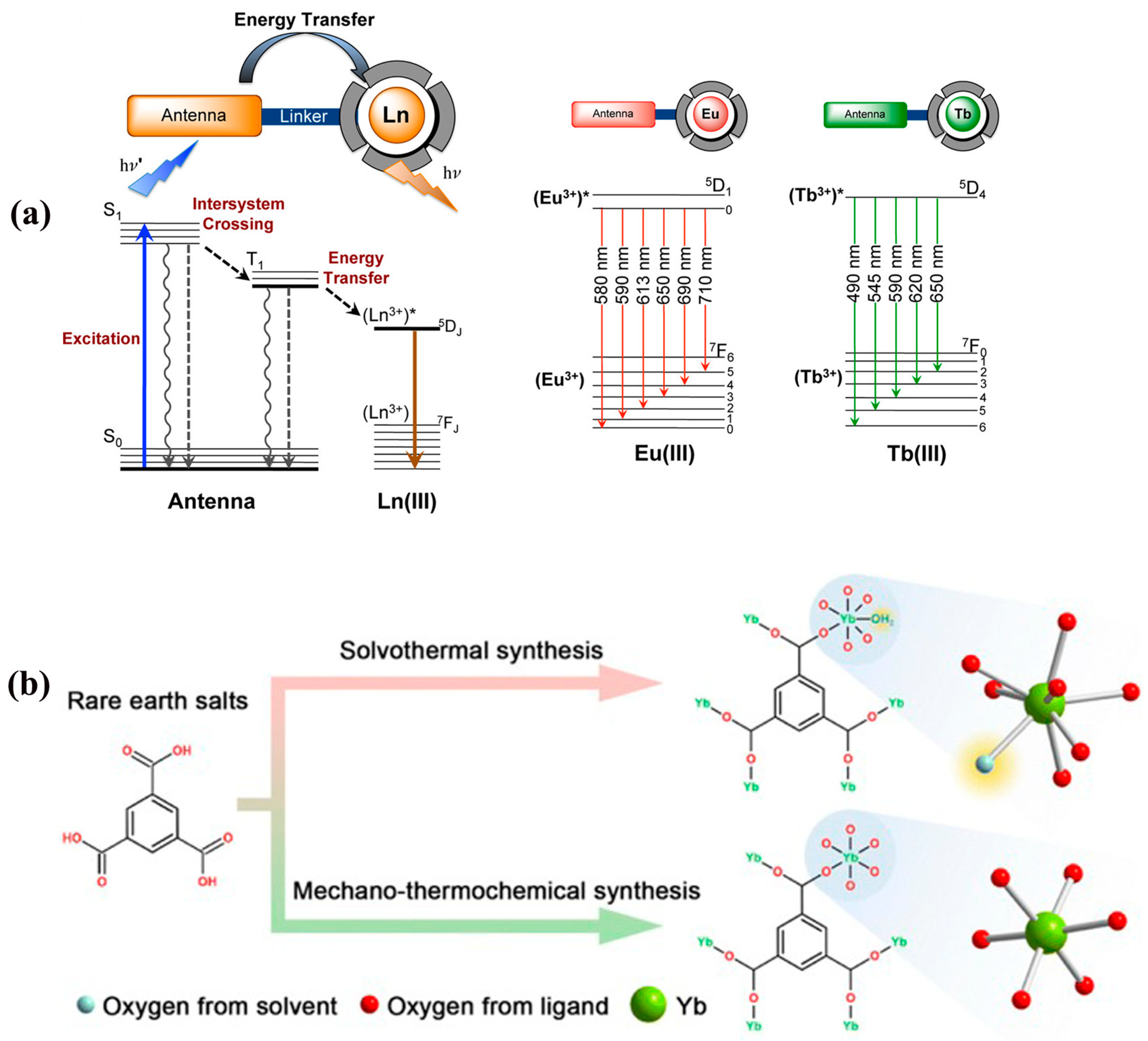 Chemosensors 13 00184 g001