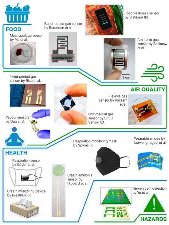 Chemosensors 13 00190 g001