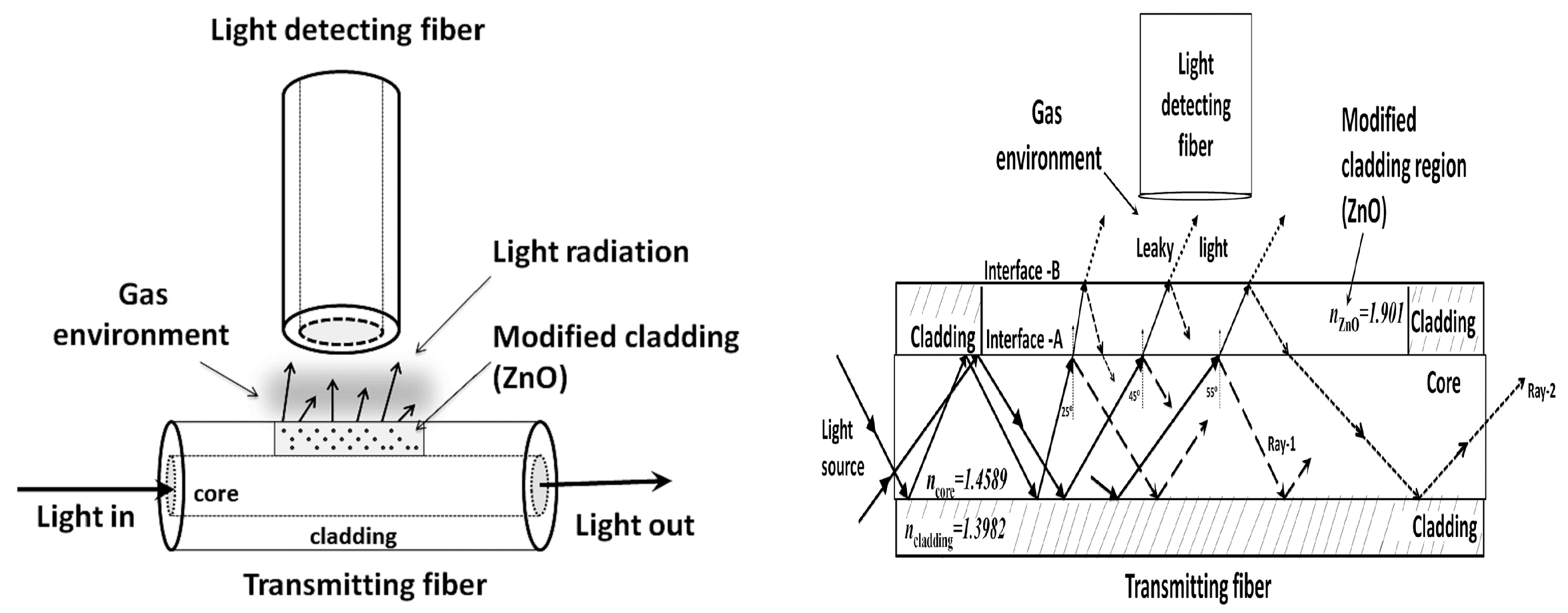 Chemosensors 13 00190 g008