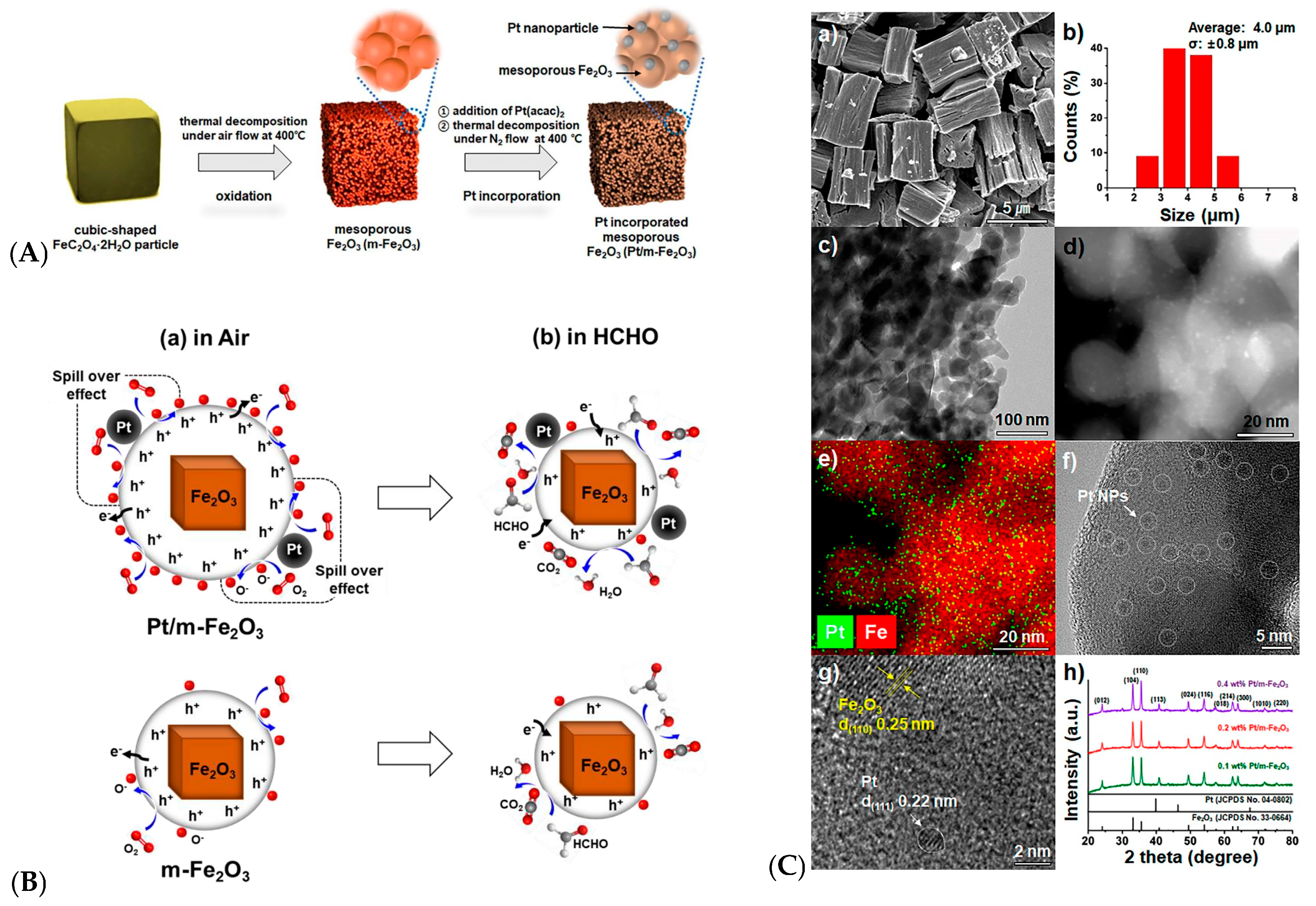 Chemosensors 13 00190 g009