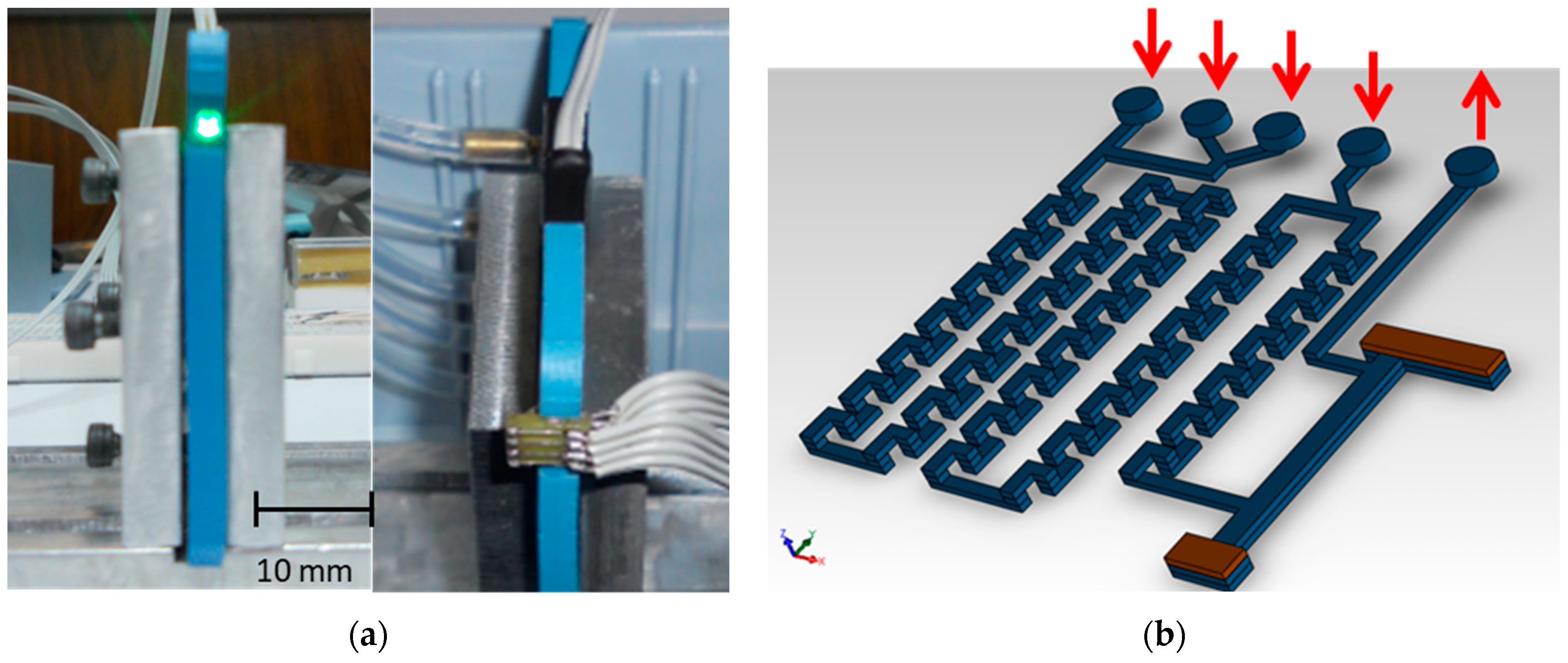 Chemosensors 13 00191 g007
