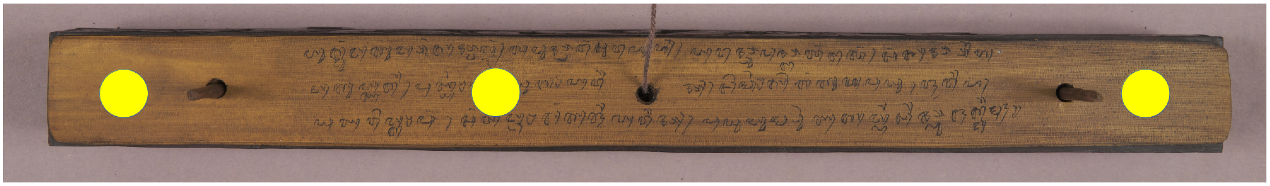 Chemosensors 13 00196 g001