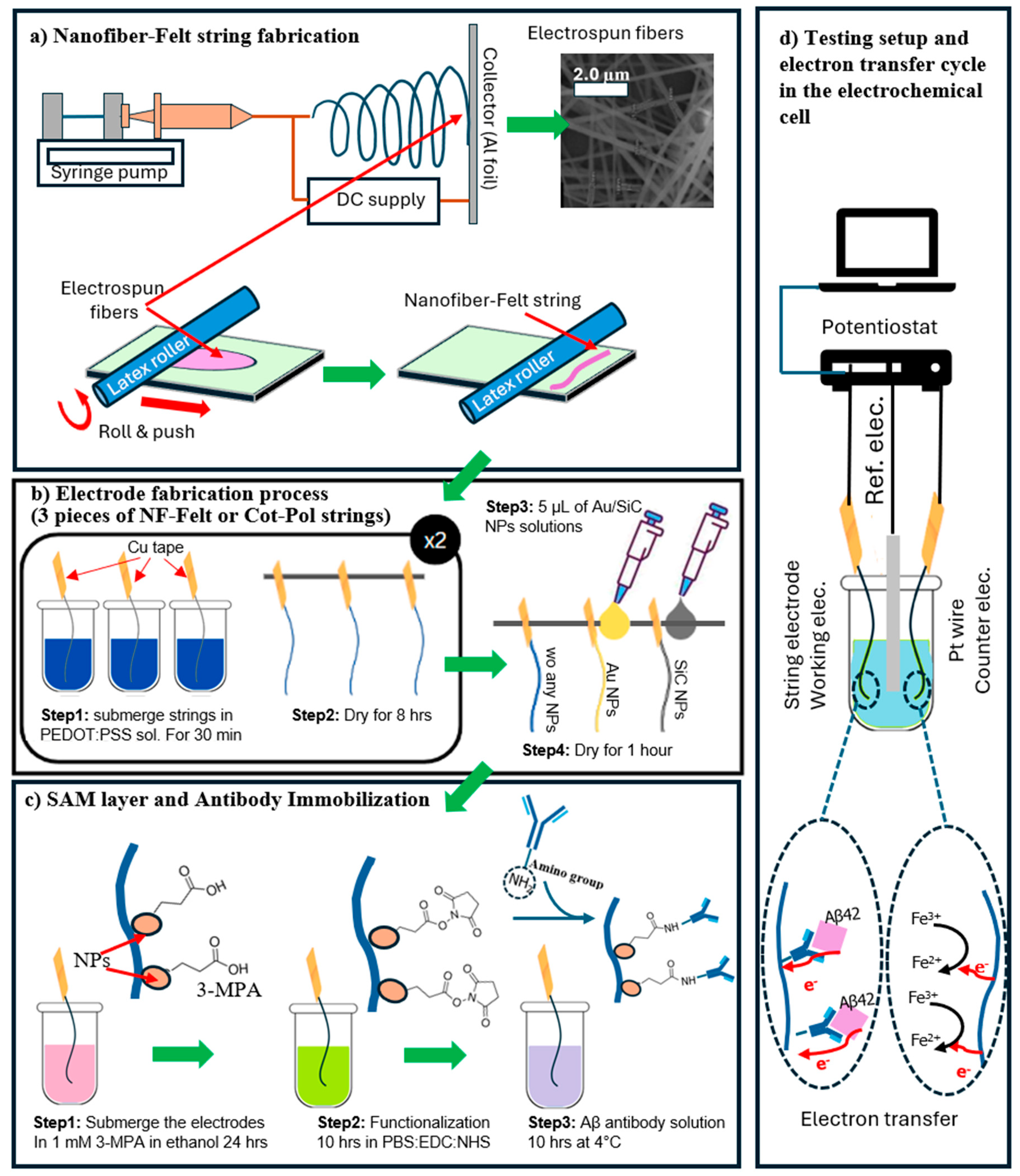 Chemosensors 13 00199 g001