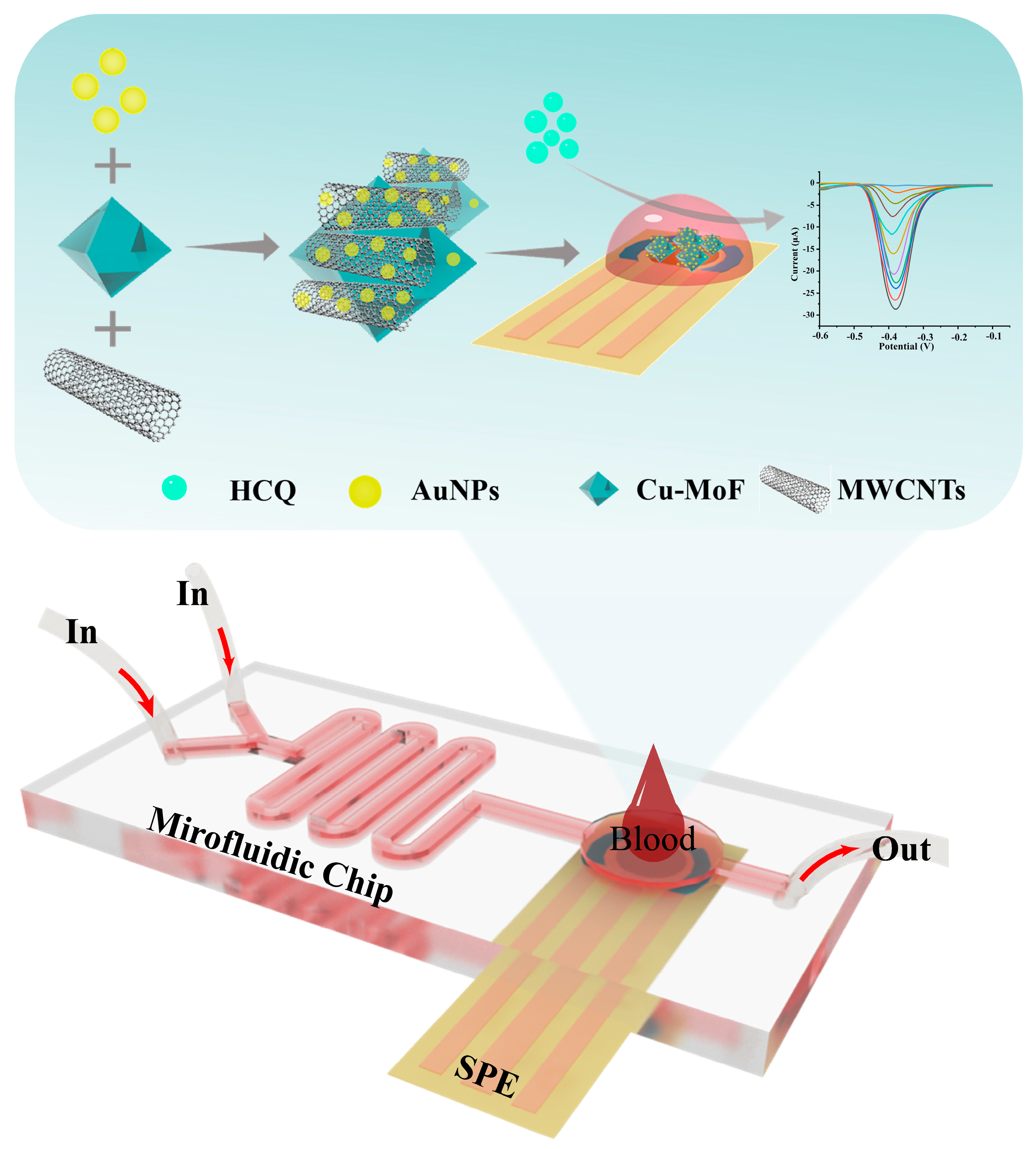 Chemosensors 13 00200 g001