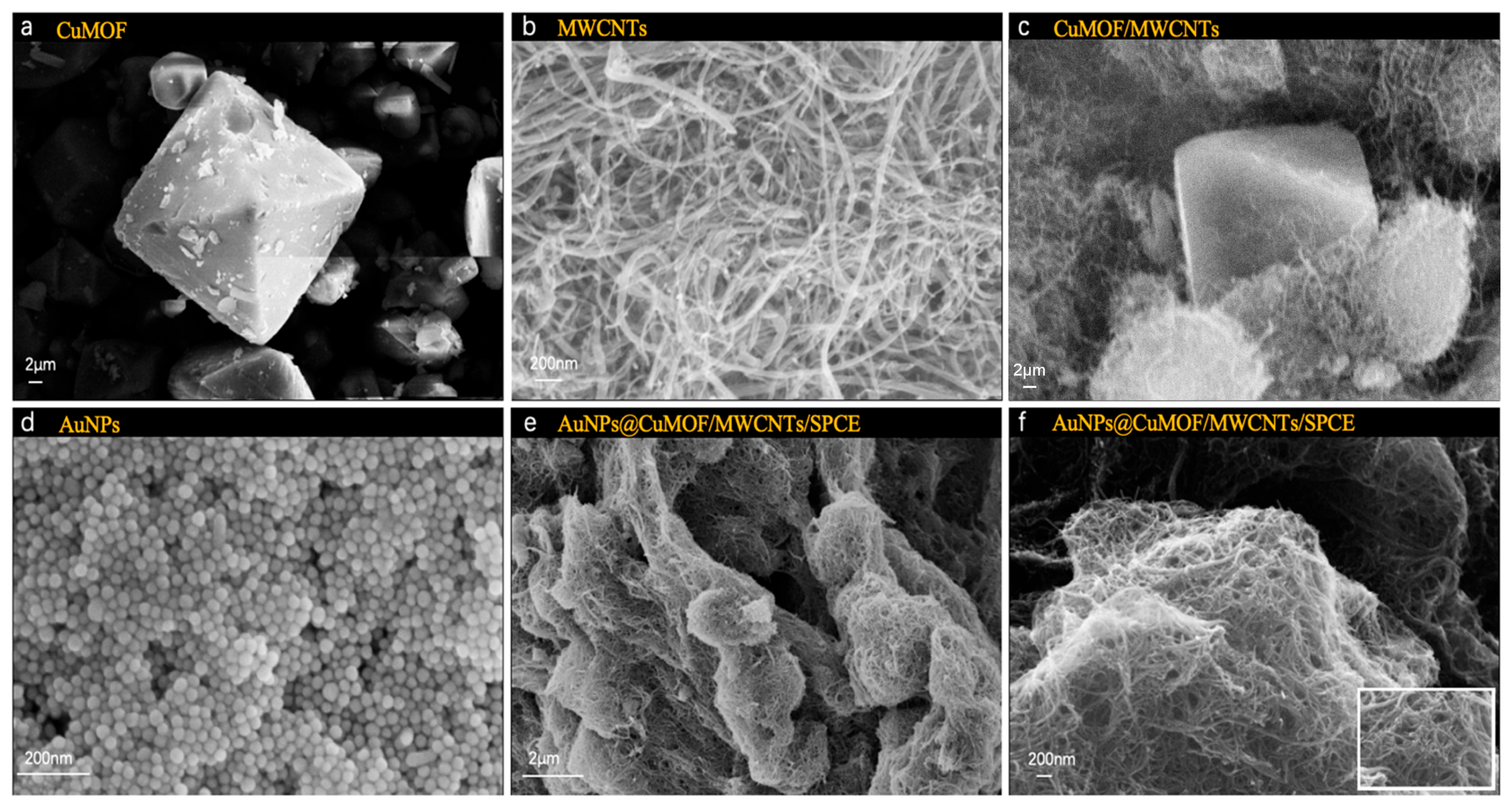 Chemosensors 13 00200 g002