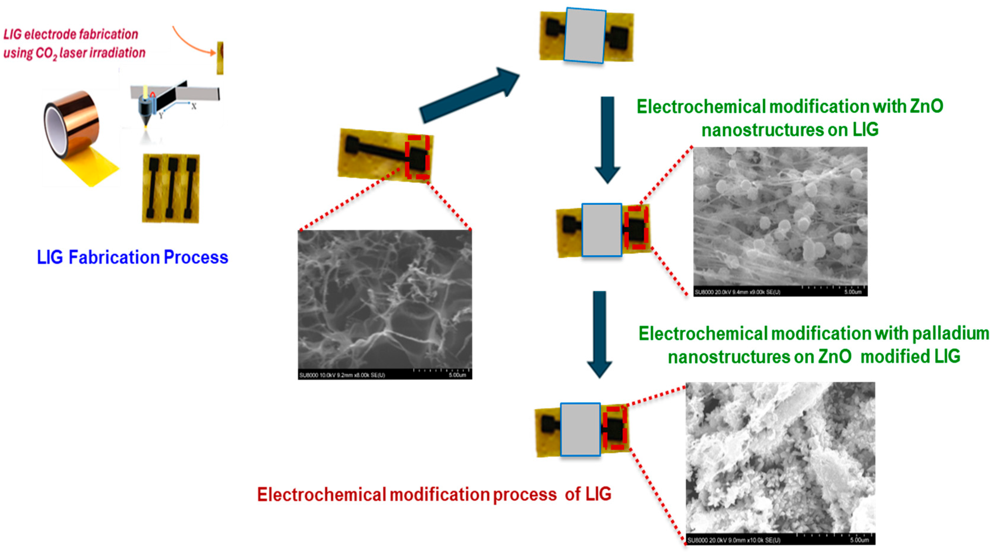 Chemosensors 13 00201 sch001