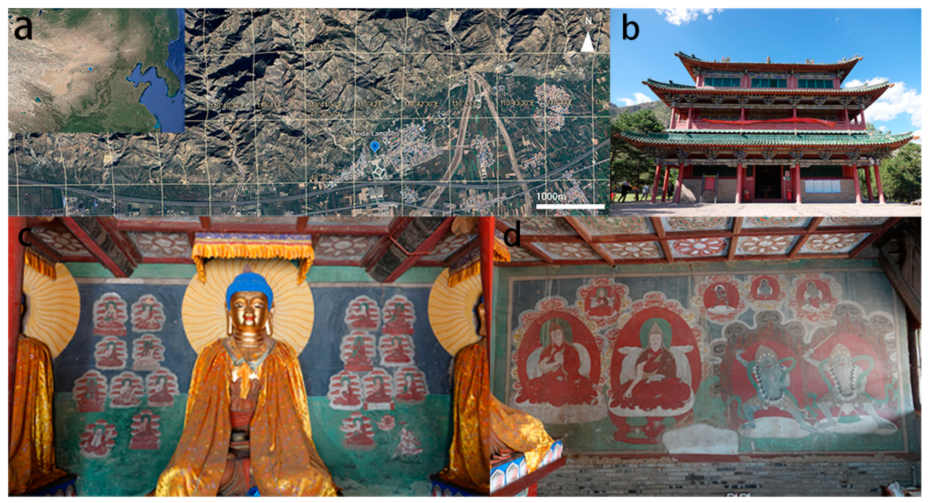 Chemosensors 13 00202 g002