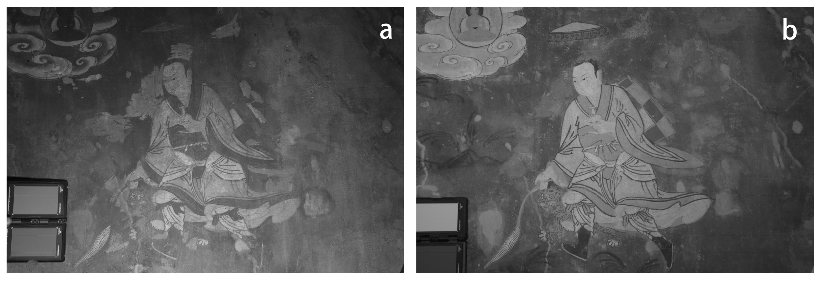 Chemosensors 13 00202 g013