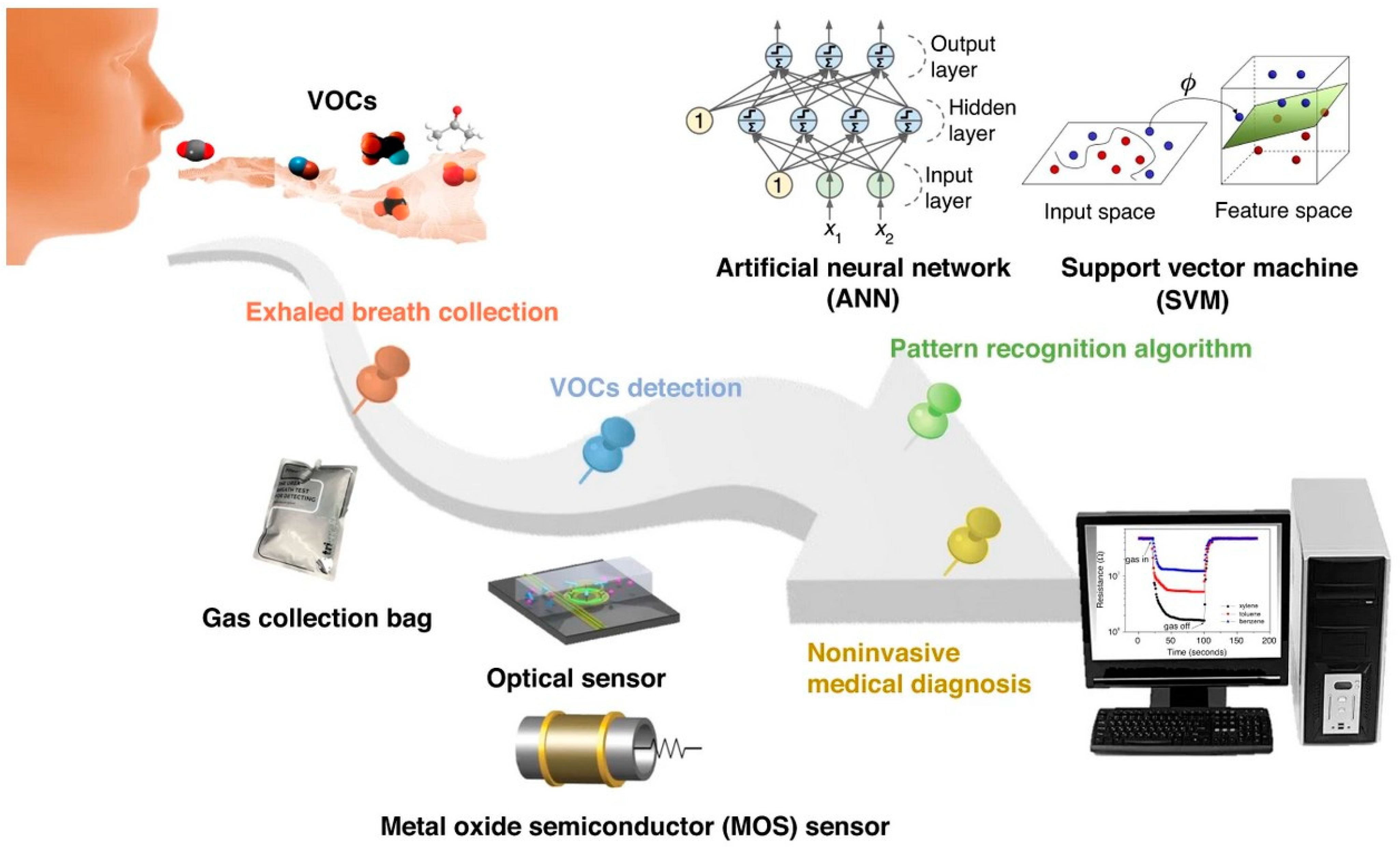 Chemosensors 13 00204 g004
