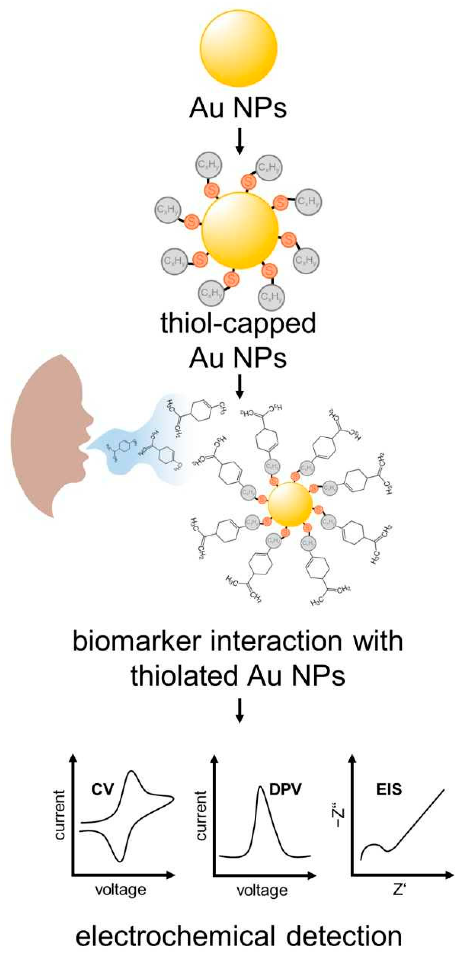 Chemosensors 13 00204 g005