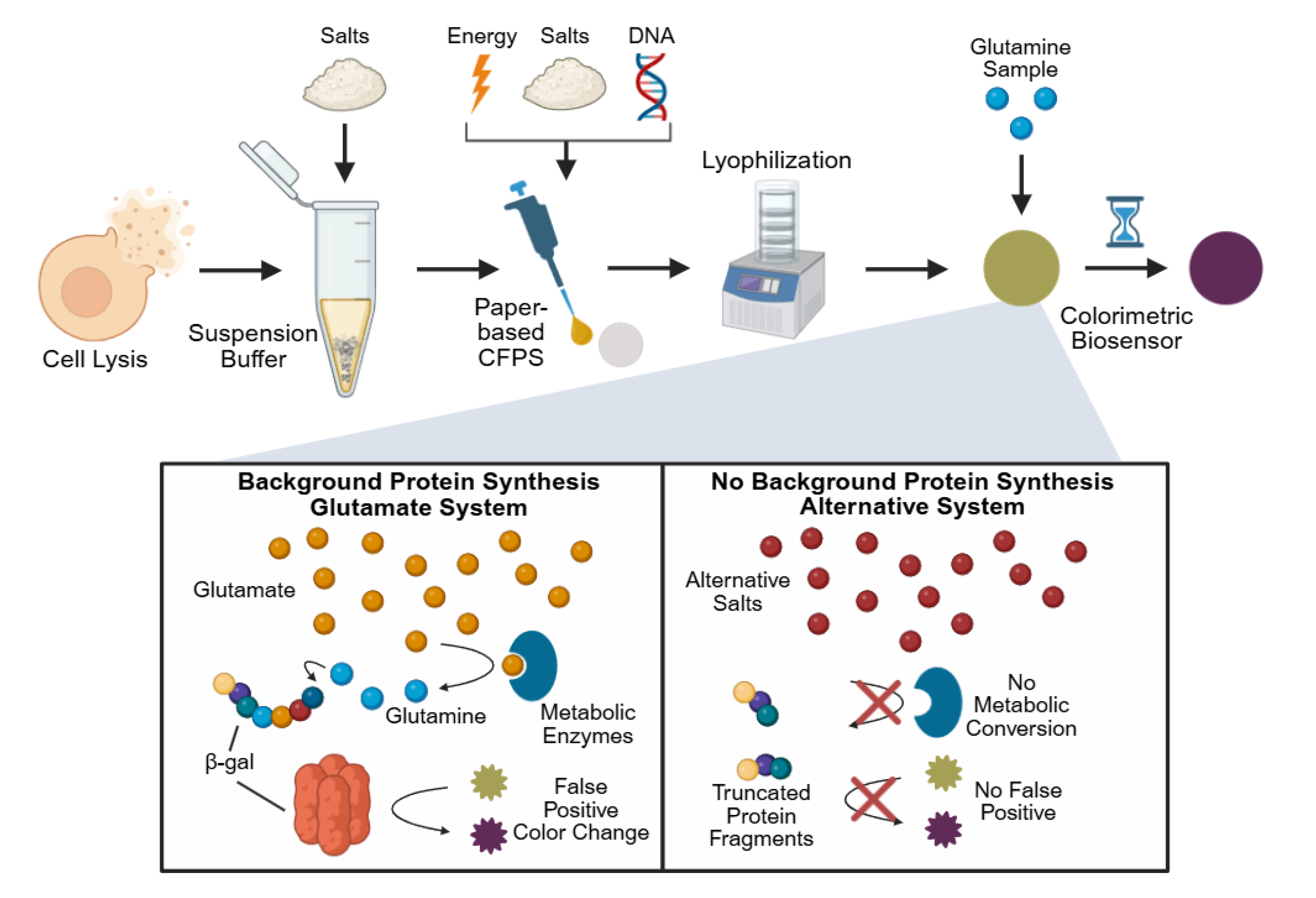 Chemosensors 13 00206 g001